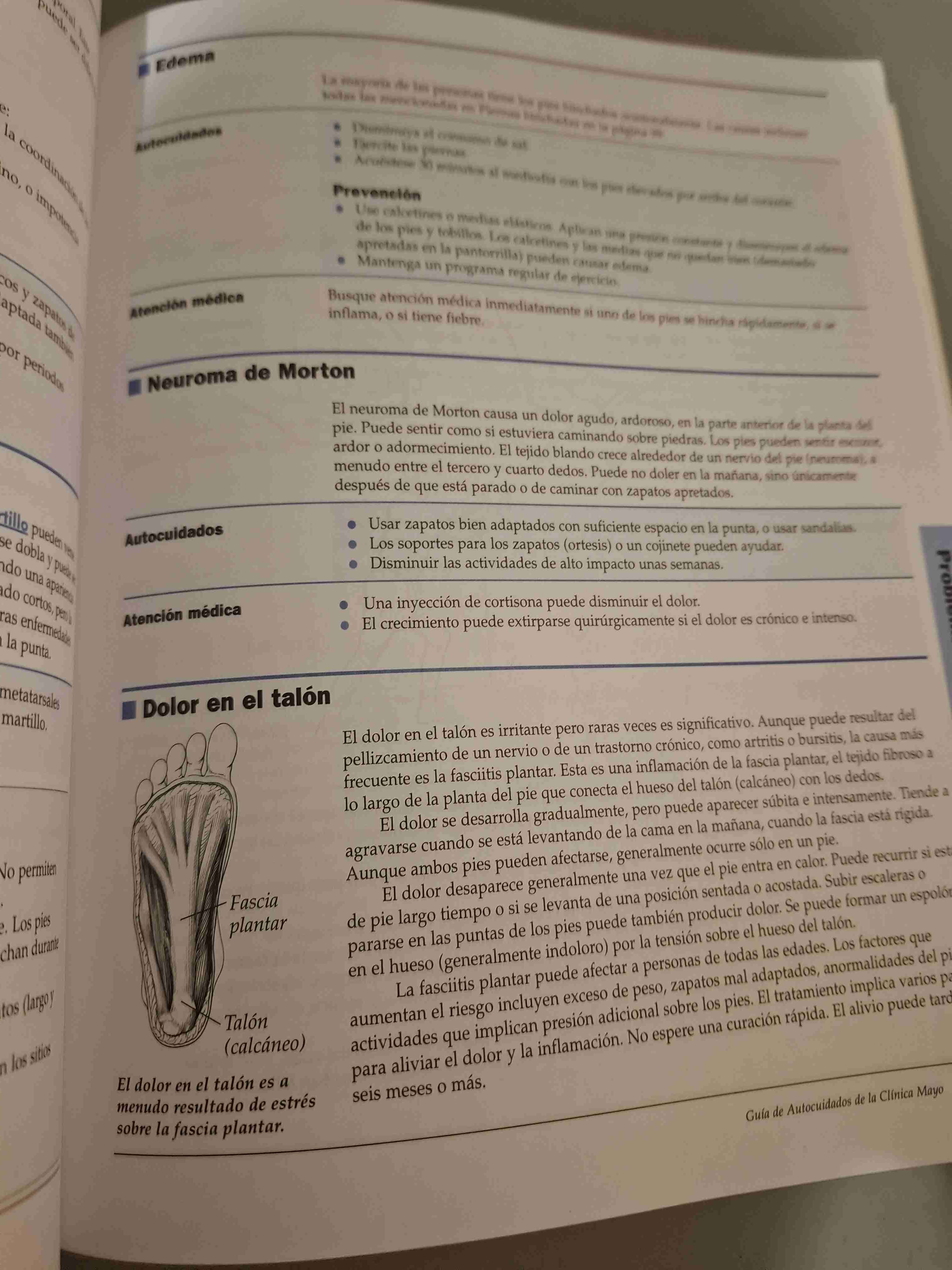Guía de Autocuidados Codelco - miniatura 5