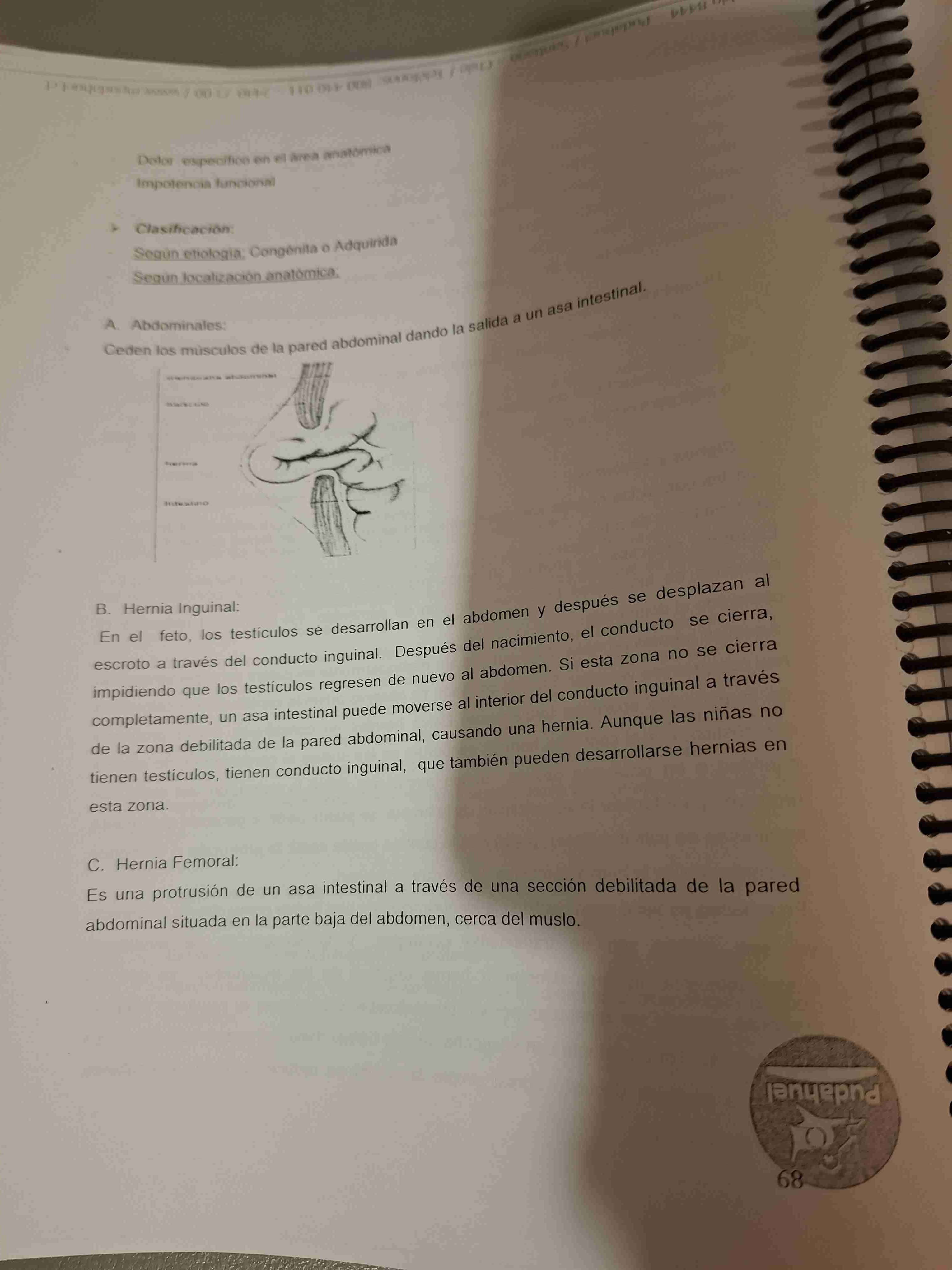 Resumenes para examen de grado - miniatura 2