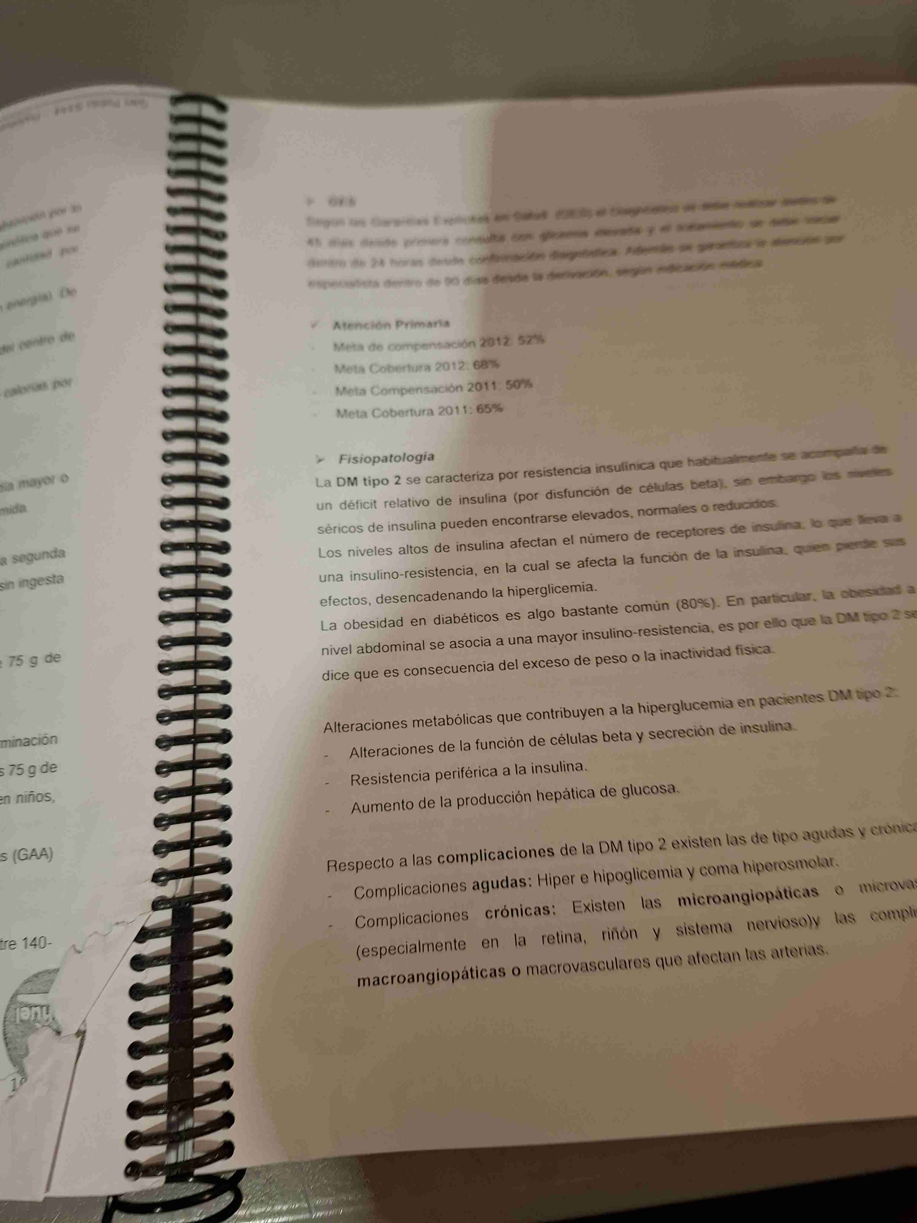 Resumenes para examen de grado - miniatura 3