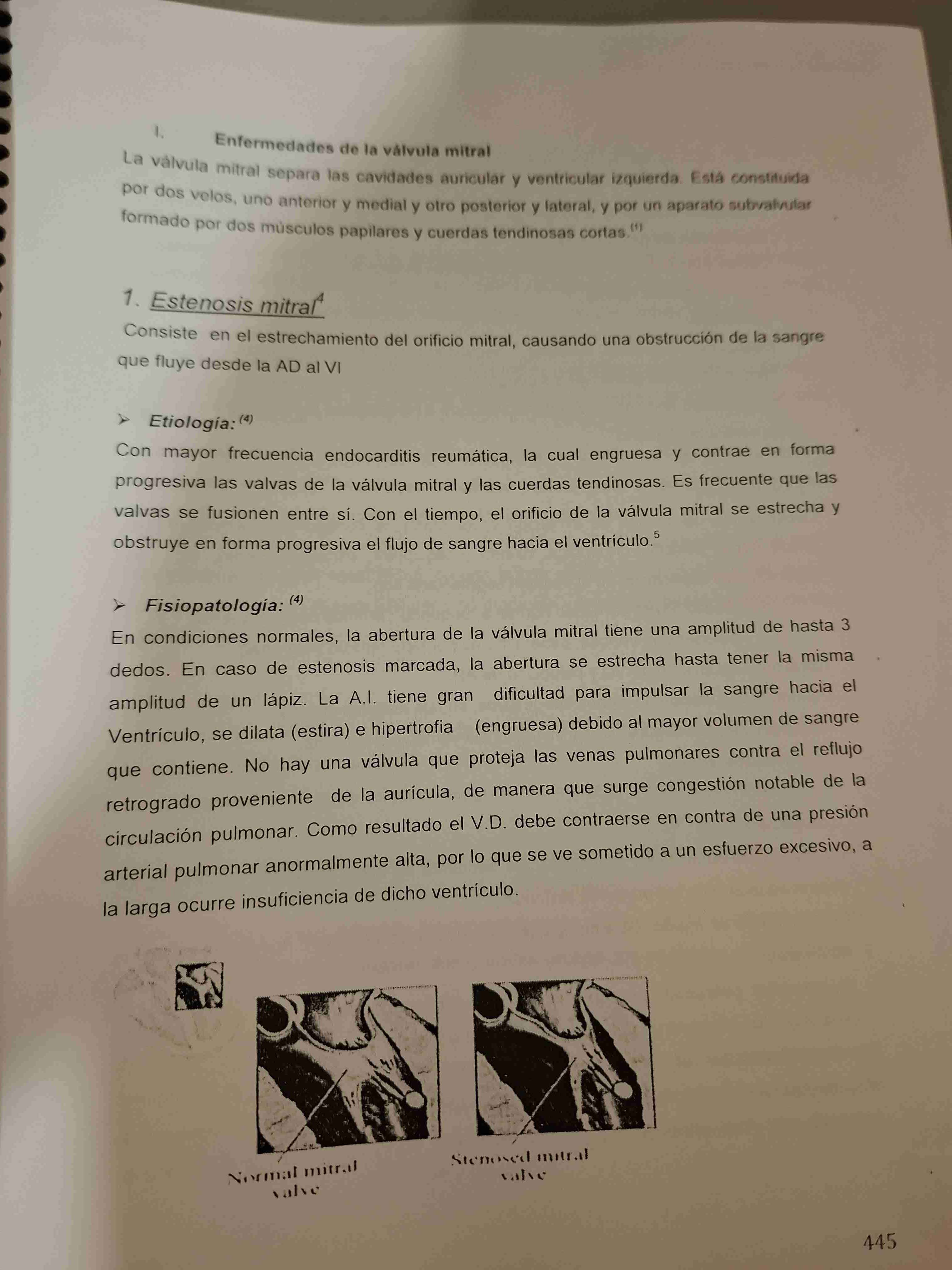 Resumenes para examen de grado - miniatura 6