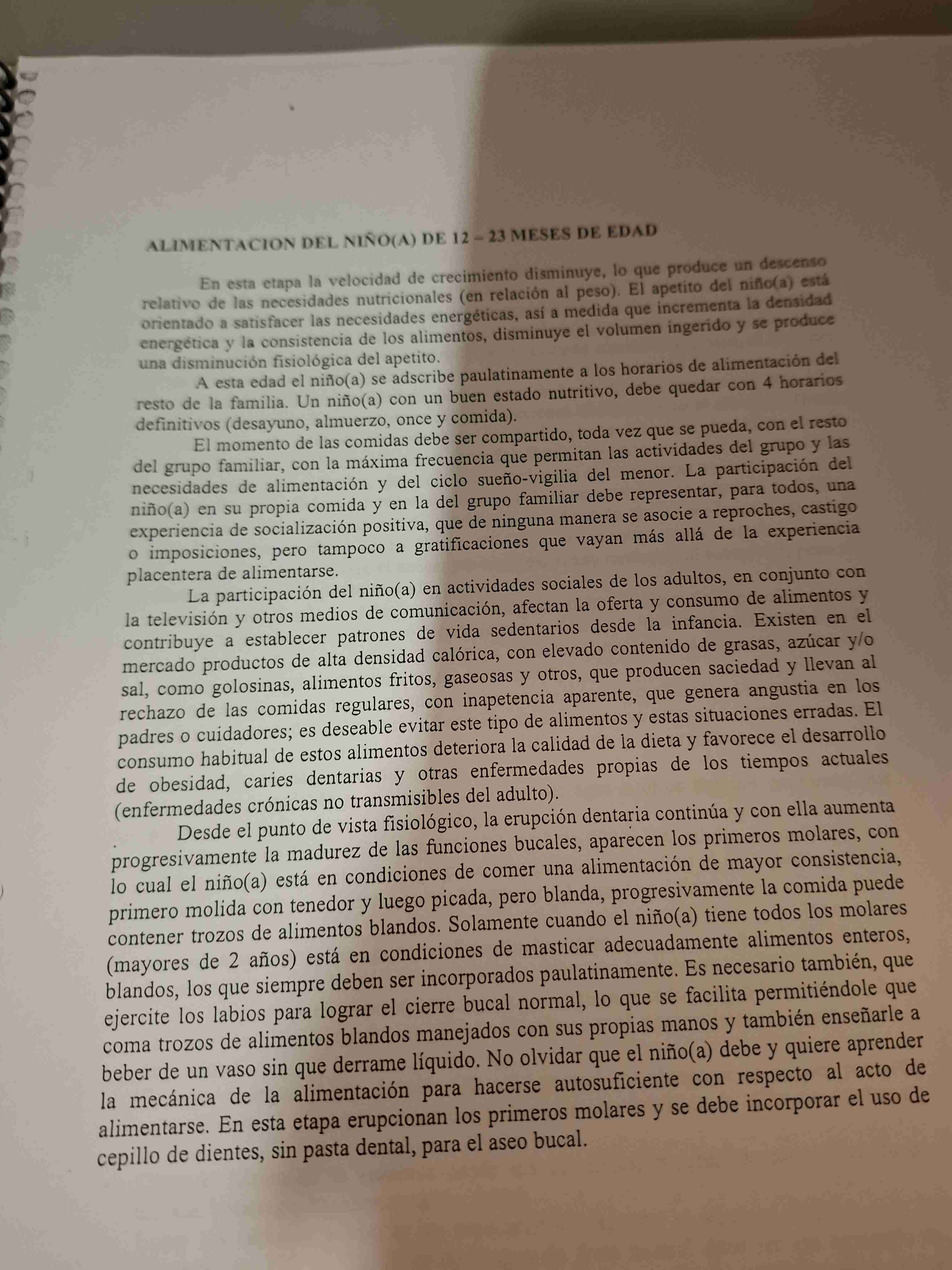 Guía Alimentaria para Niños y Adolescentes - miniatura 2