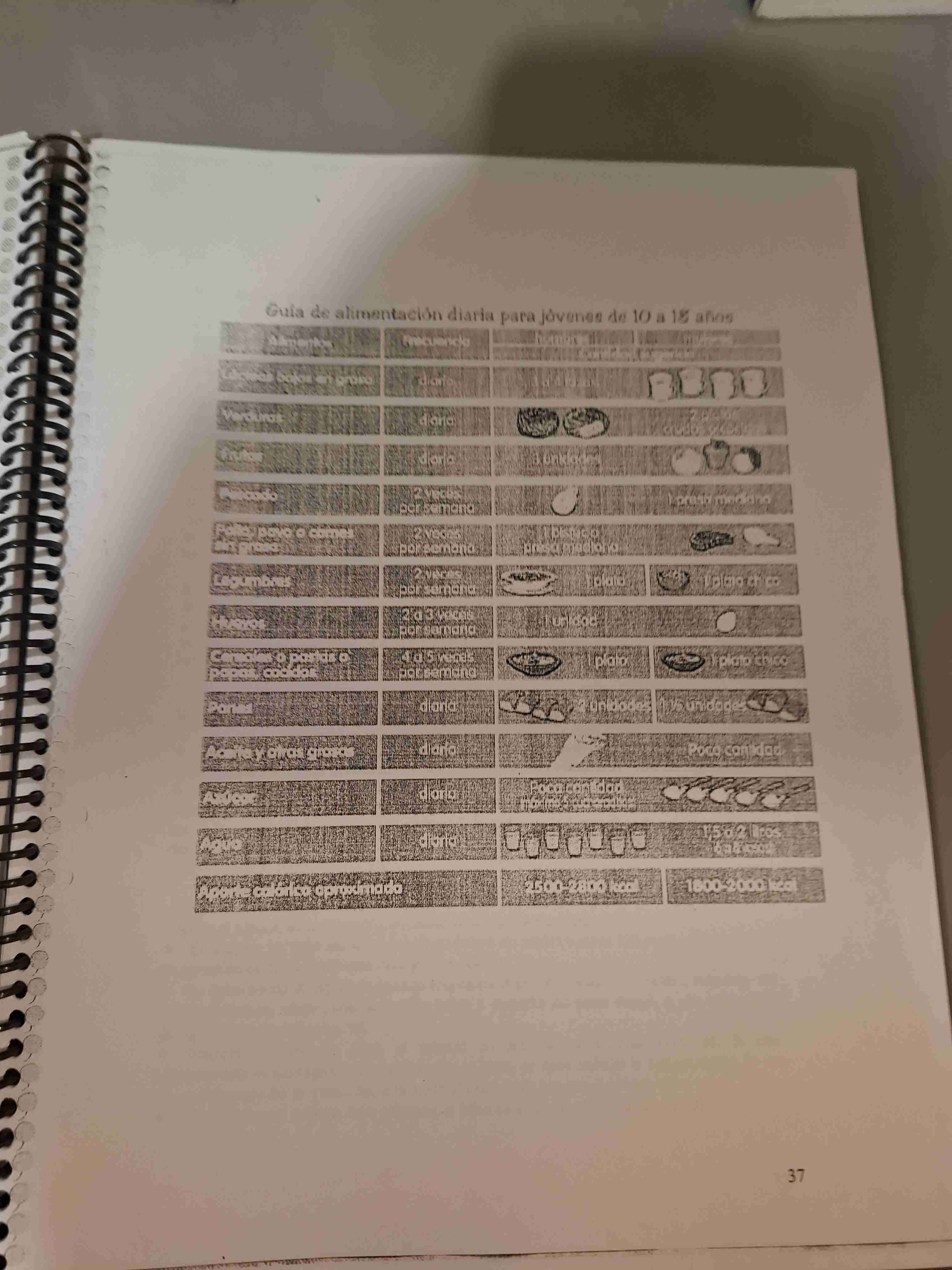 Guía Alimentaria para Niños y Adolescentes - miniatura 3