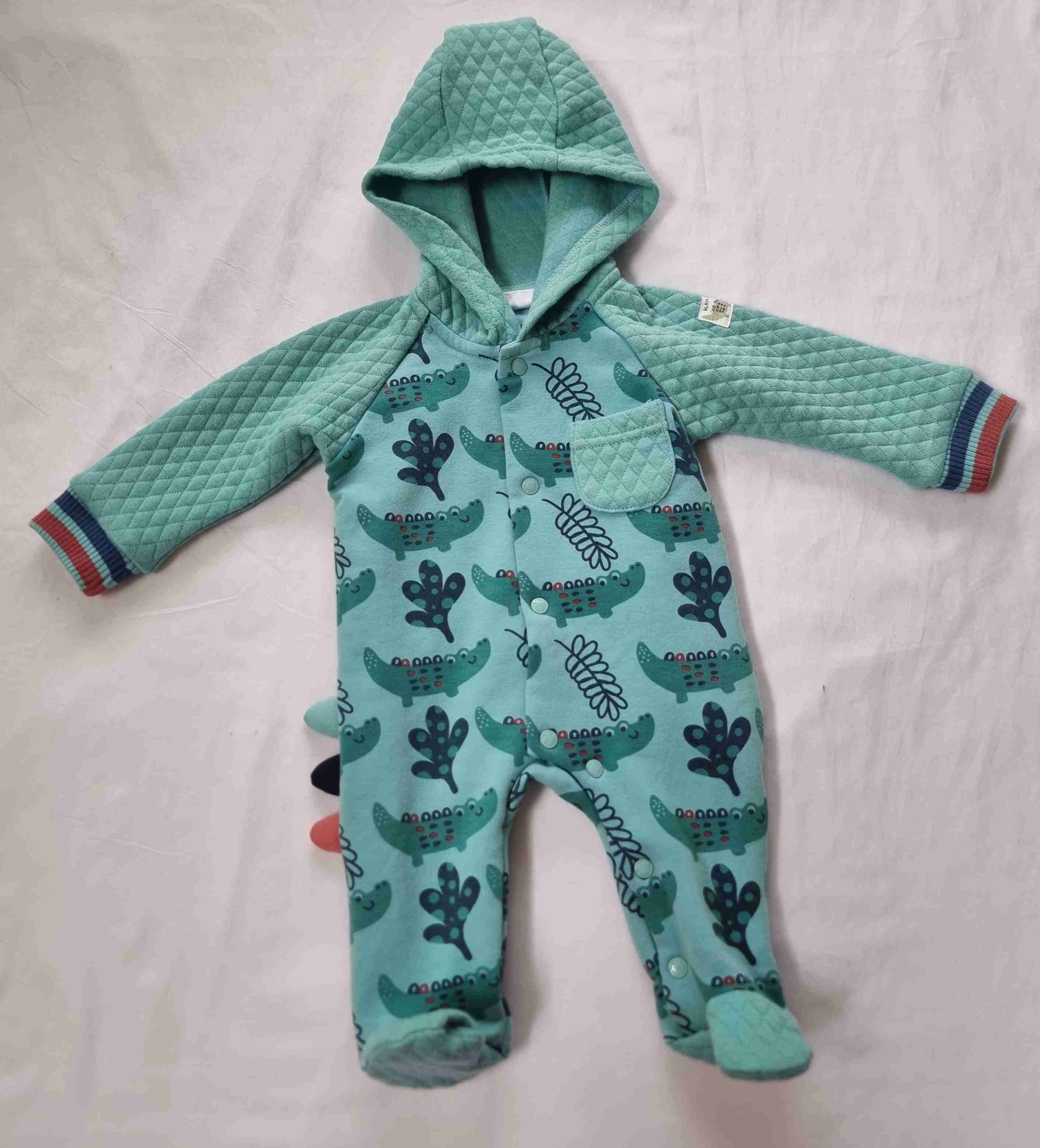 Enterito de bebé cocodrilo verde