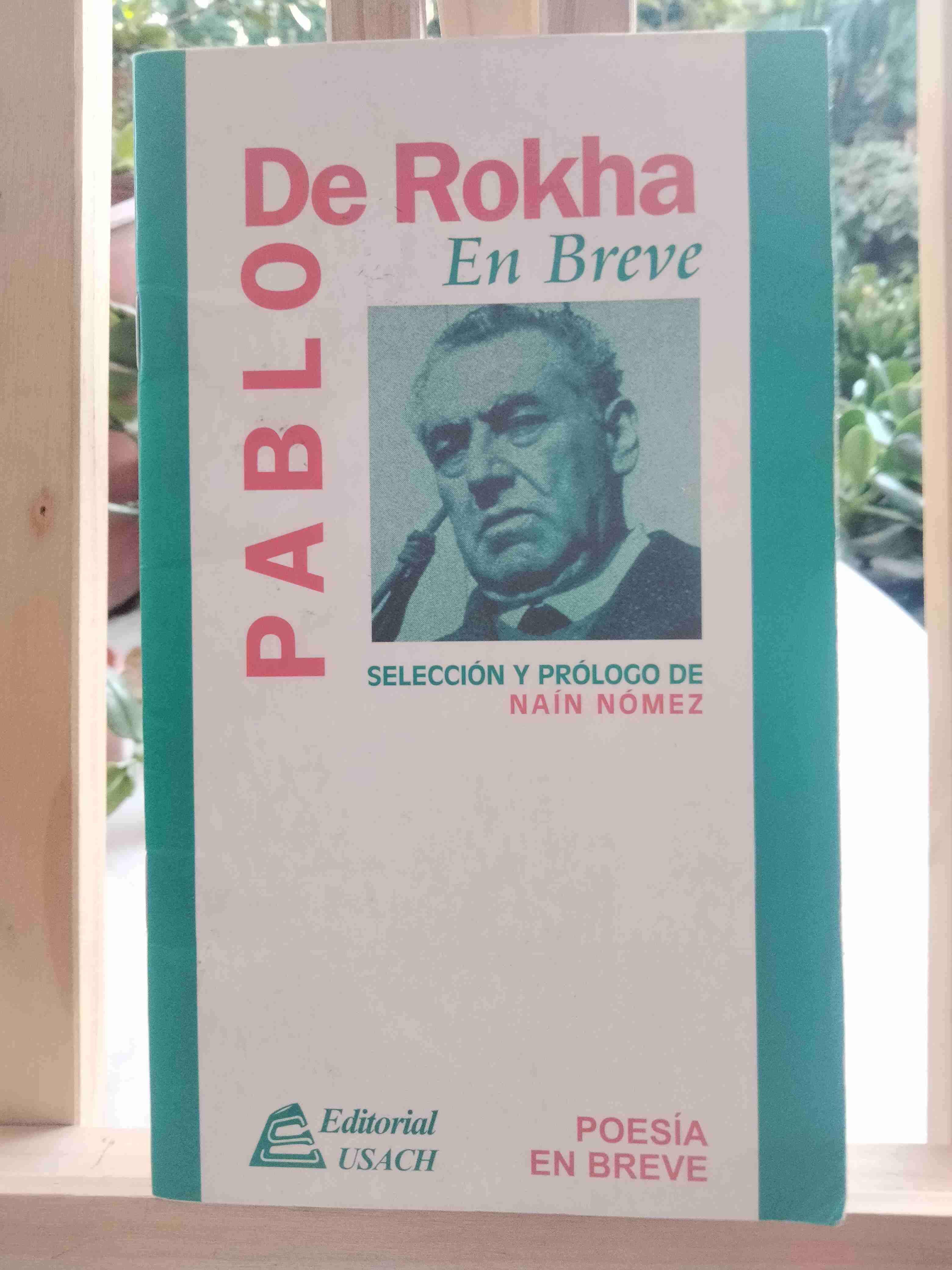 Libro Pablo De Rokha En Breve
