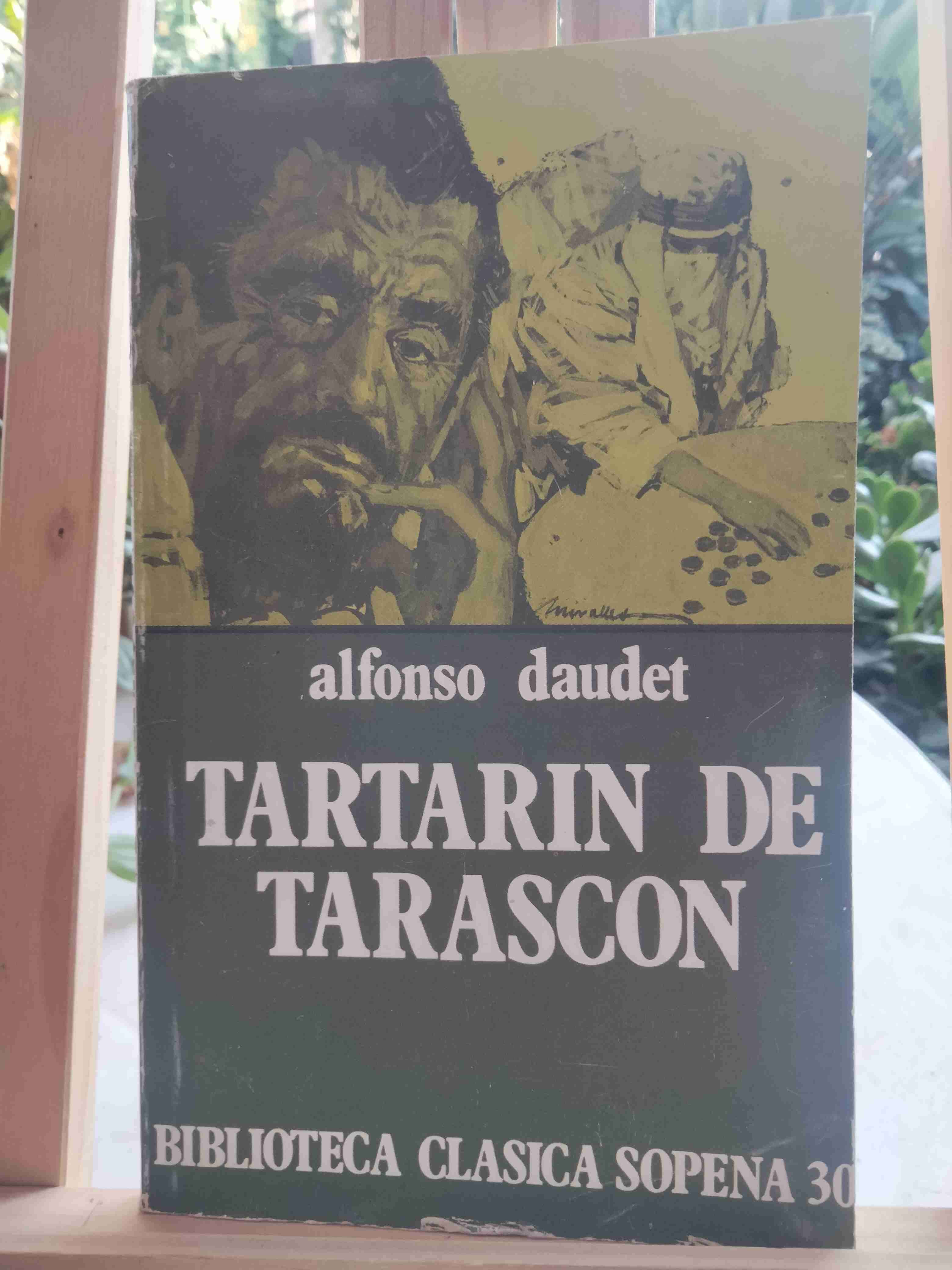 Libro Tartarin de Tarascon