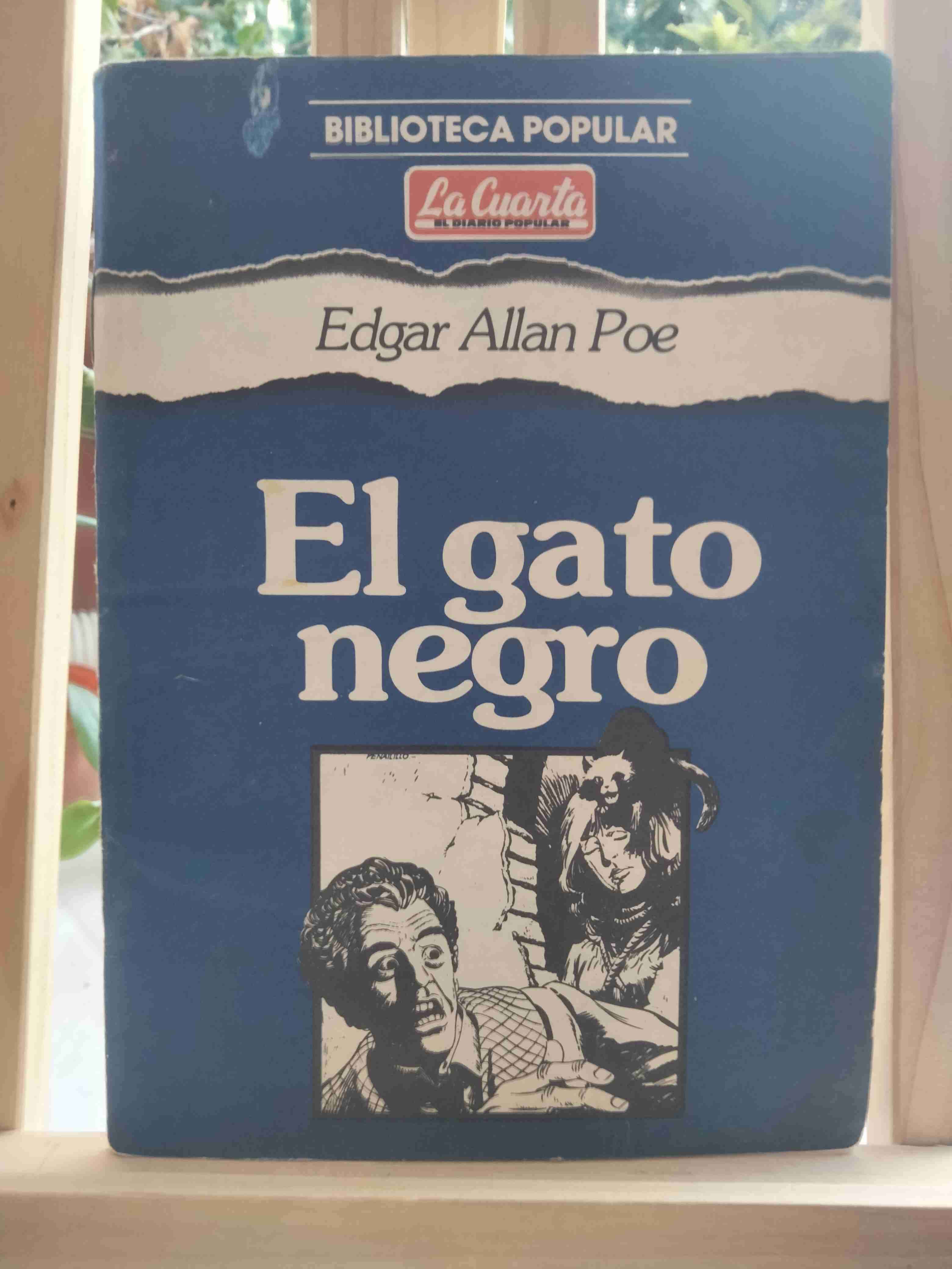 Libro El gato negro de Poe