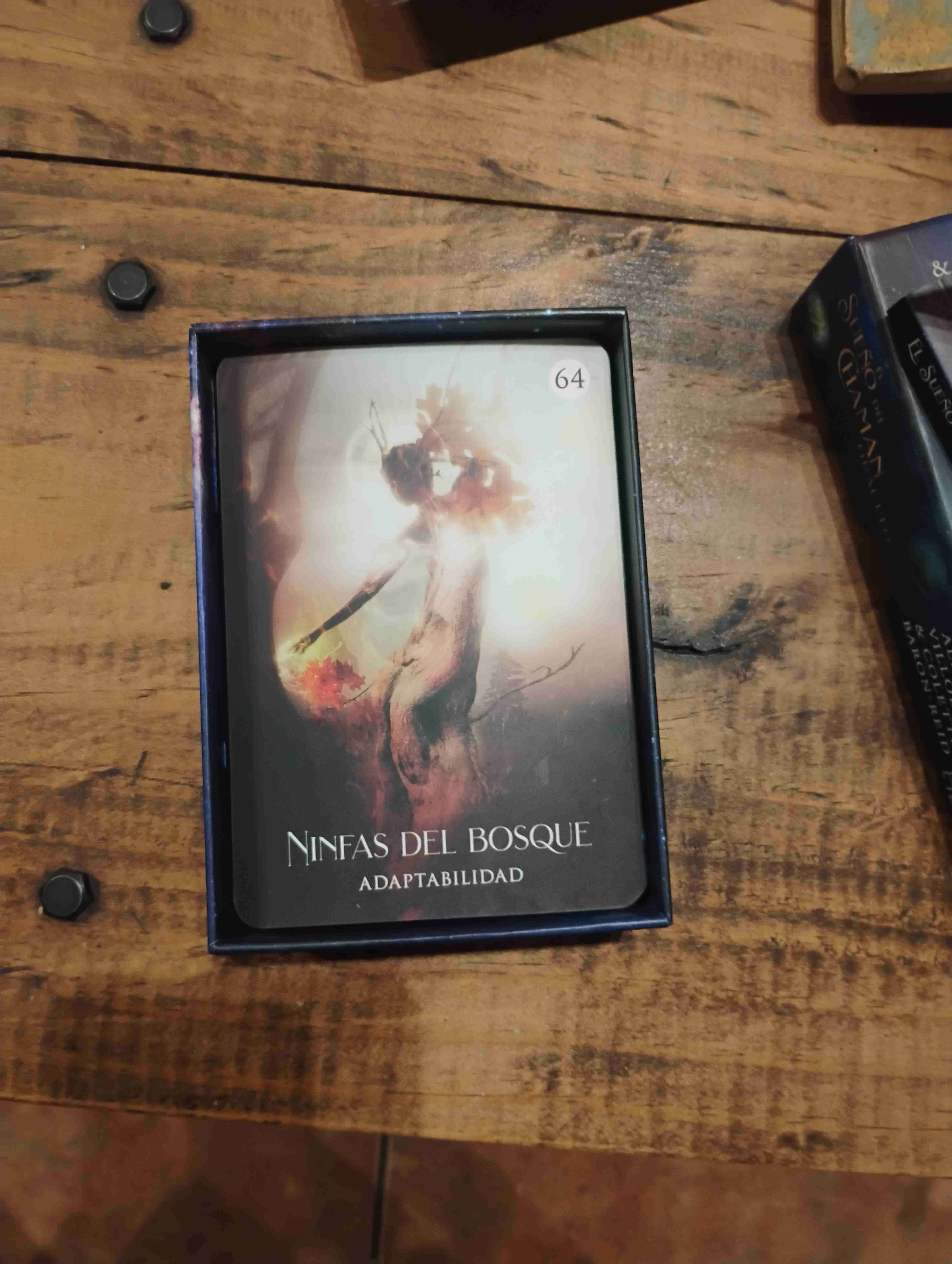 El Sueño del Chamán Oráculo - miniatura 2