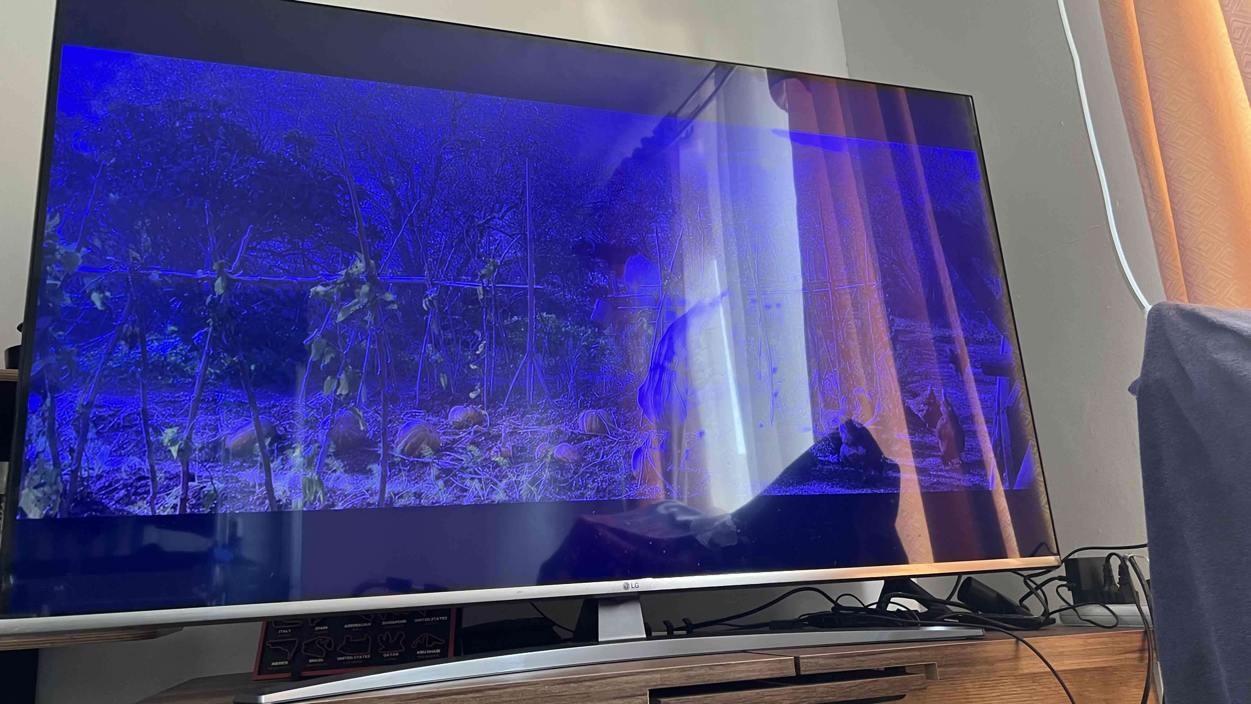 Televisor LG 55 pulgadas - miniatura 1