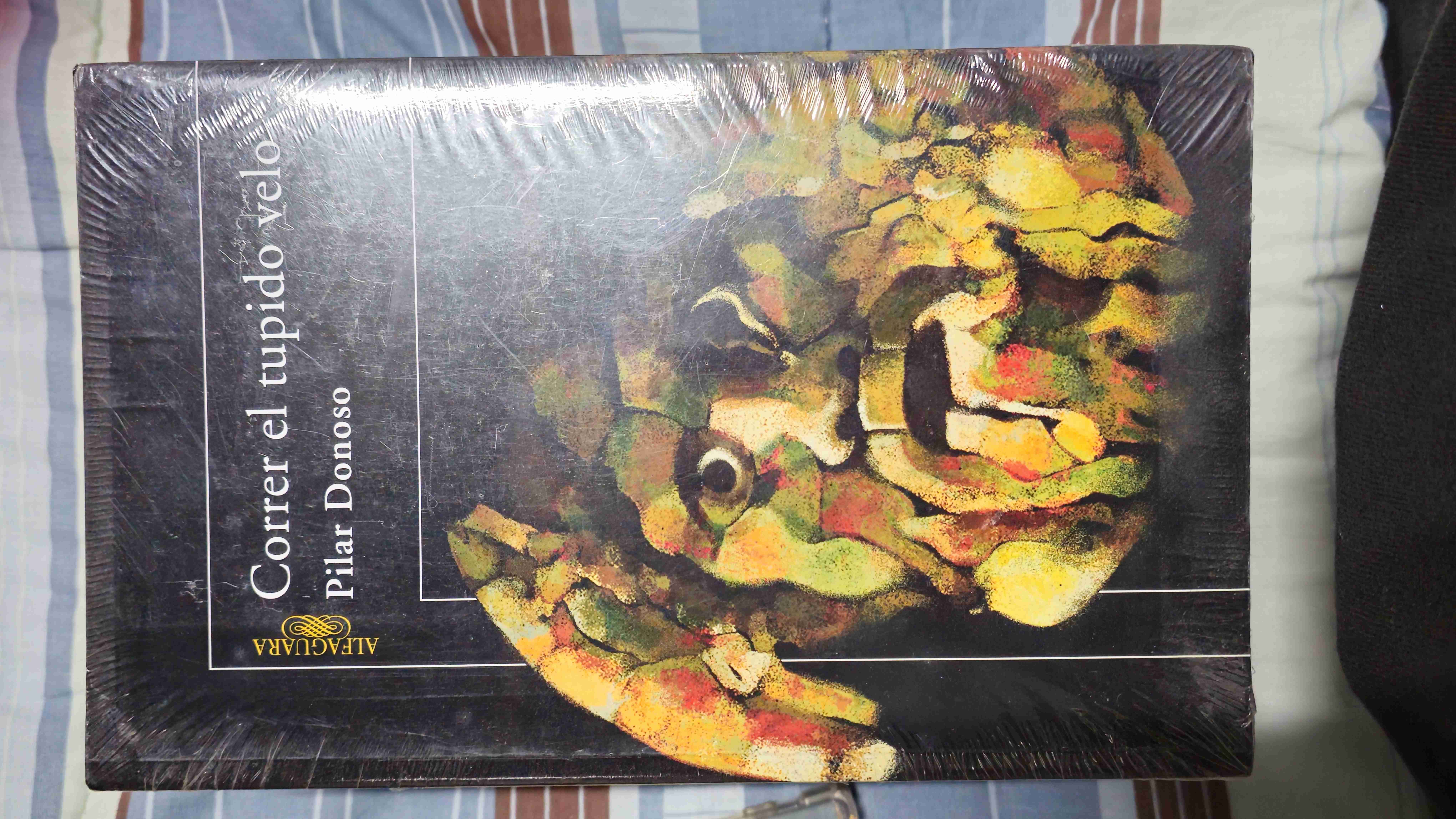 Correr el tupido velo - Pilar Donoso