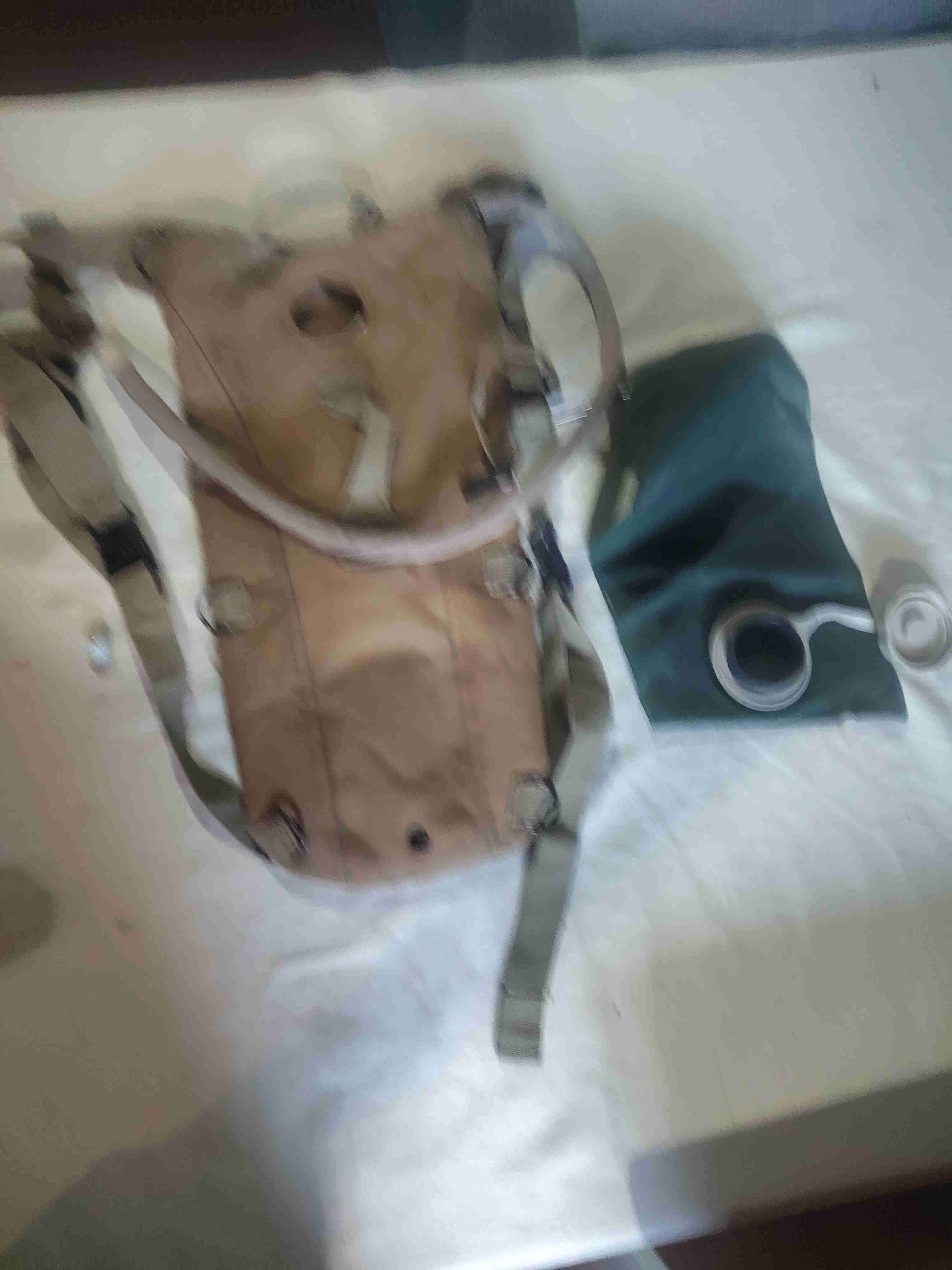 Mochila camelbak militar