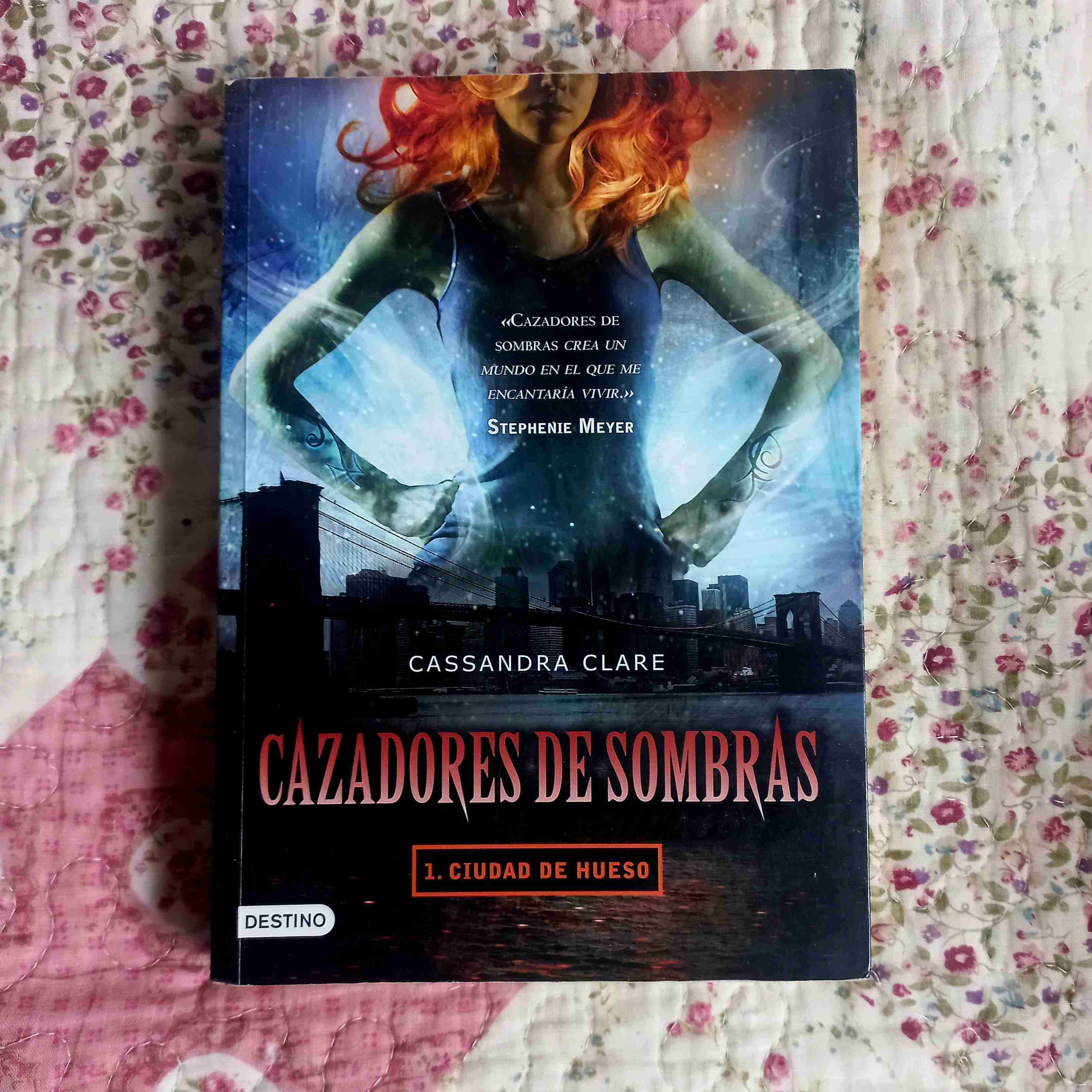 Saga Cazadores de Sombras - miniatura 1