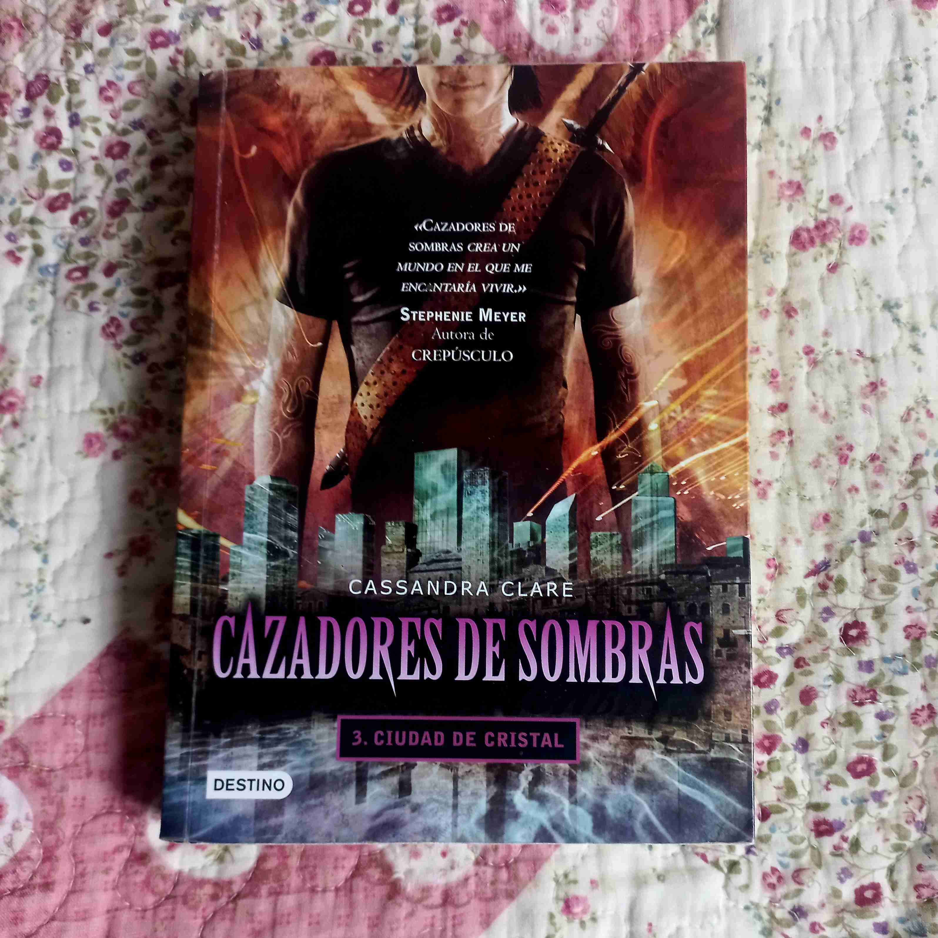 Saga Cazadores de Sombras - miniatura 3