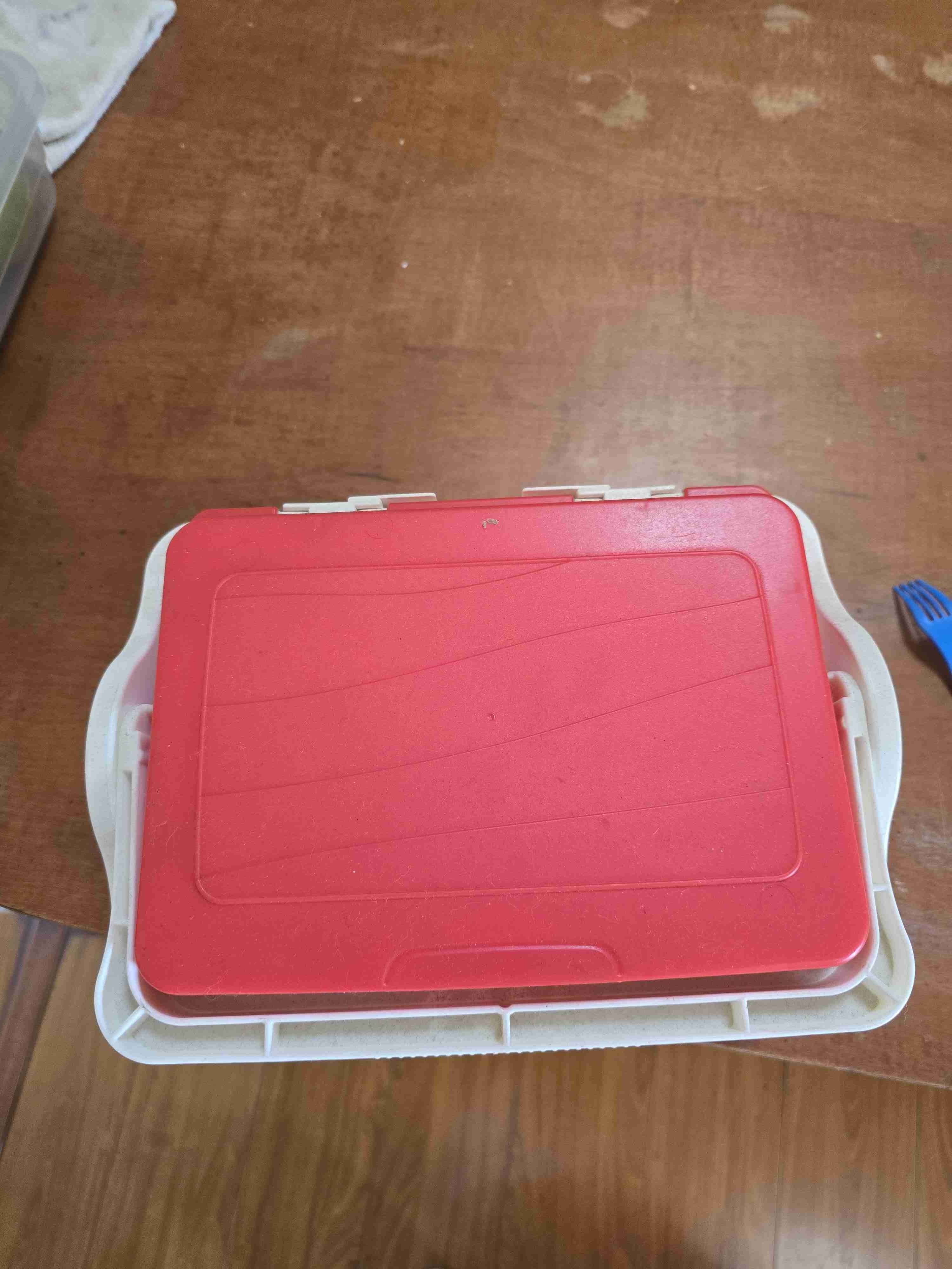 Contenedor plástico con tapa roja - miniatura 1