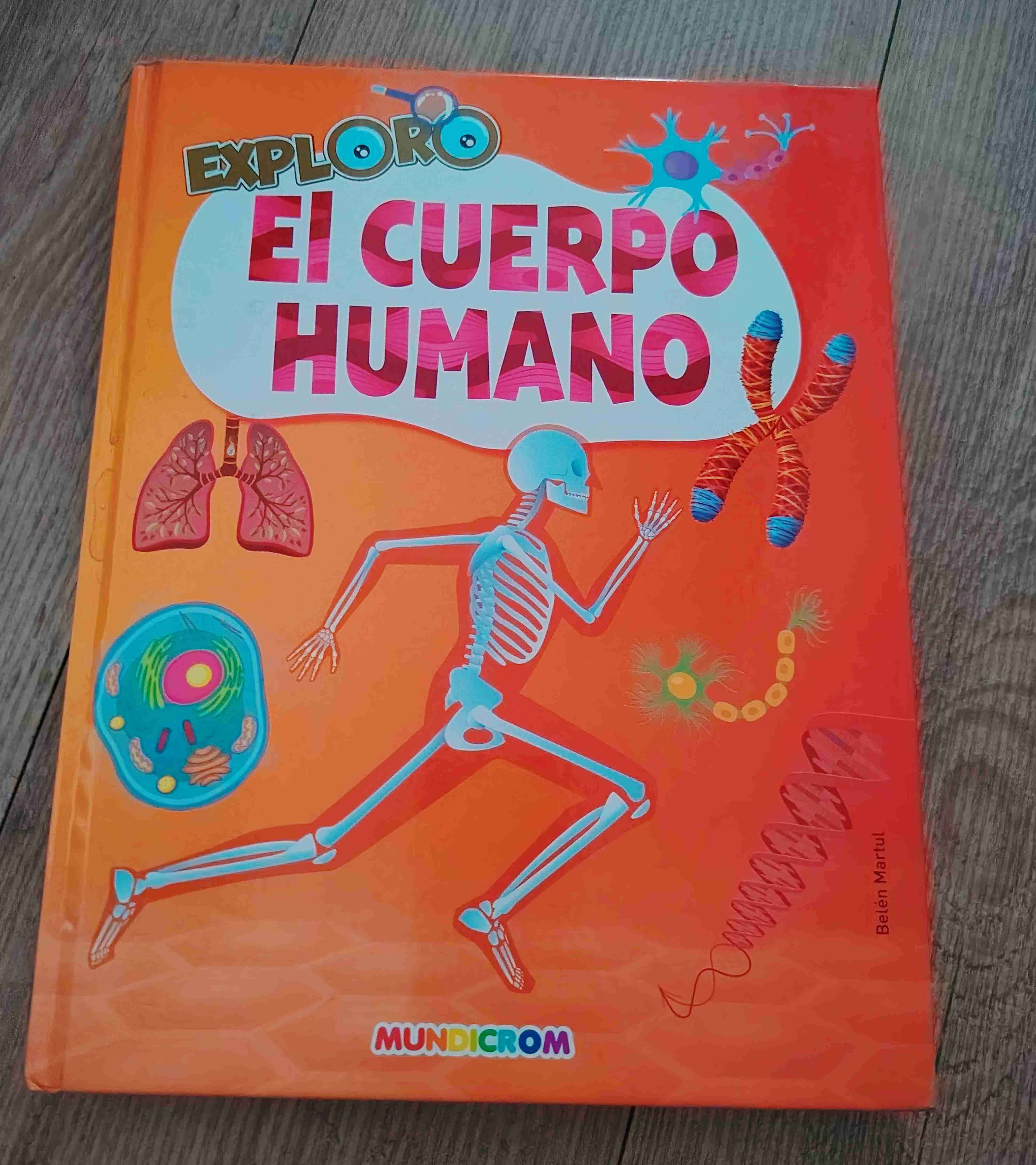 Libro Explora El Cuerpo Humano