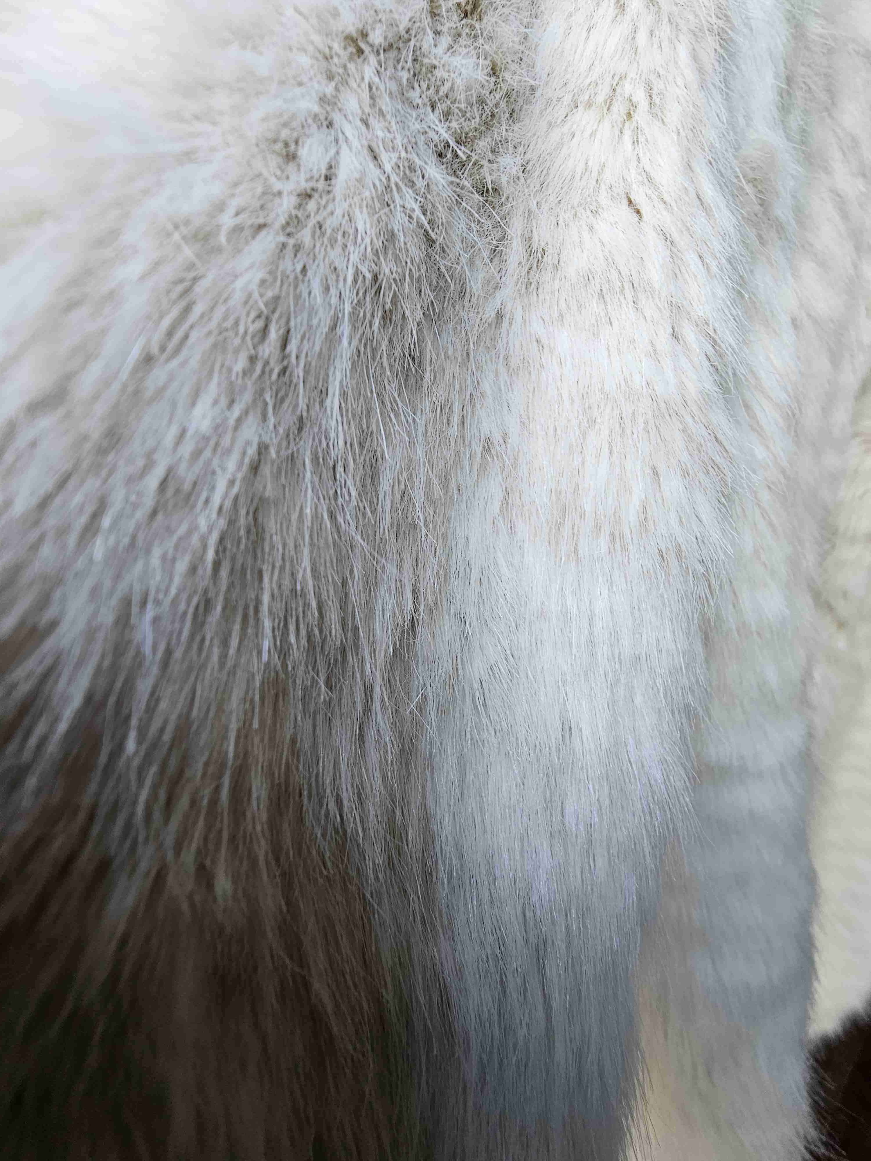 Abrigo de piel sintética beige - miniatura 4