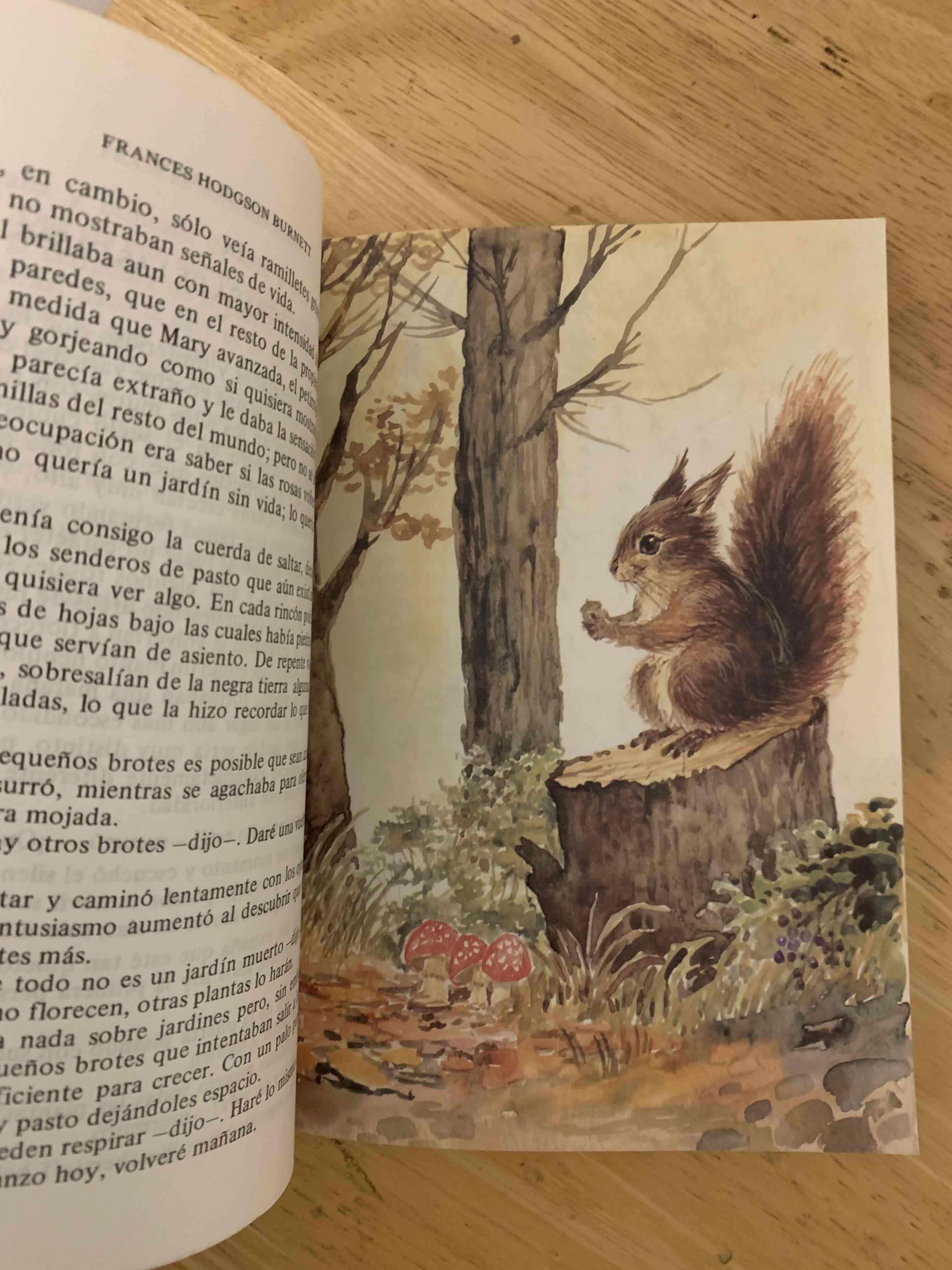 Libro El Jardín Secreto - miniatura 2