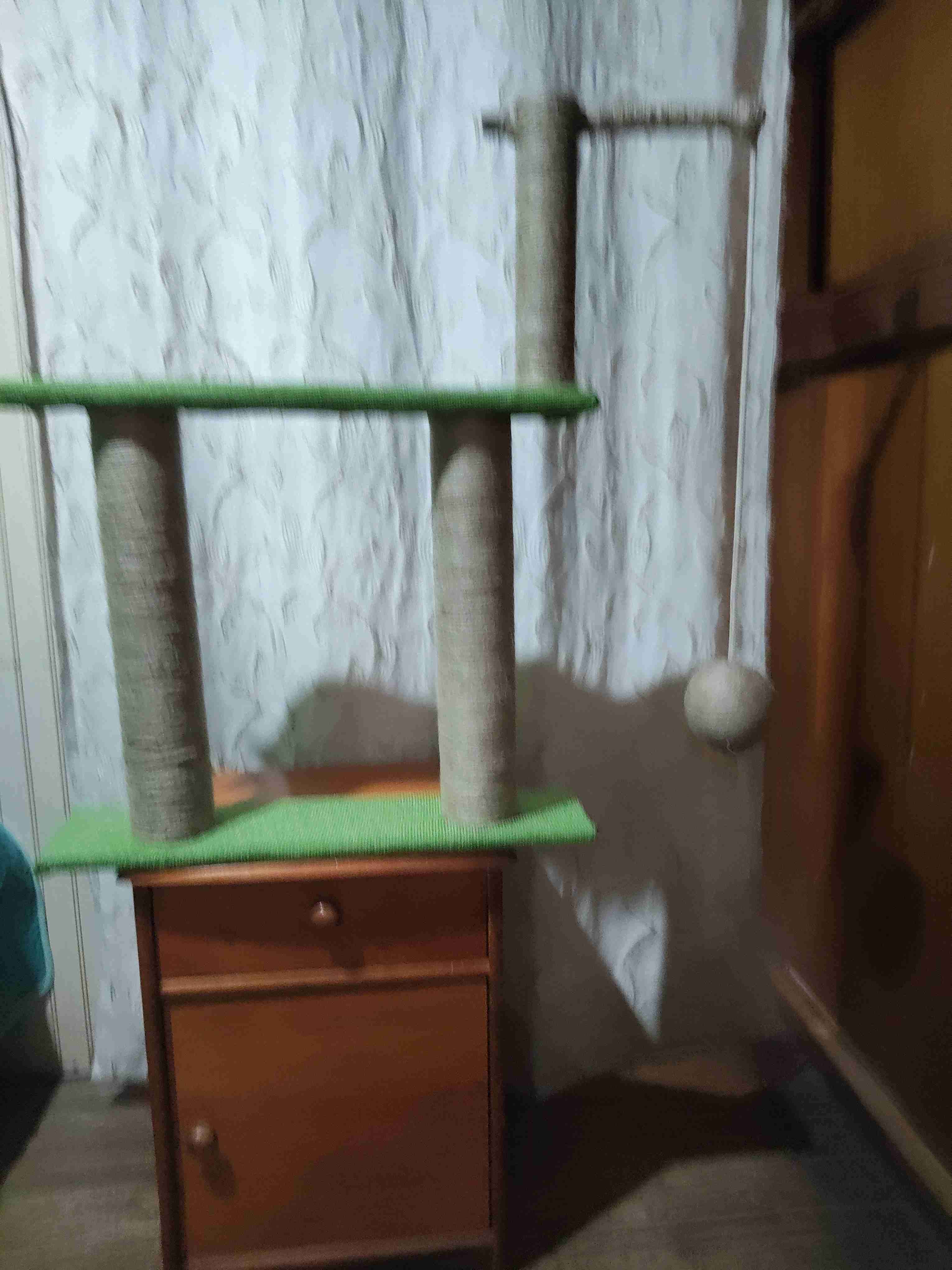 Rascador para gatos con pelota - miniatura 1