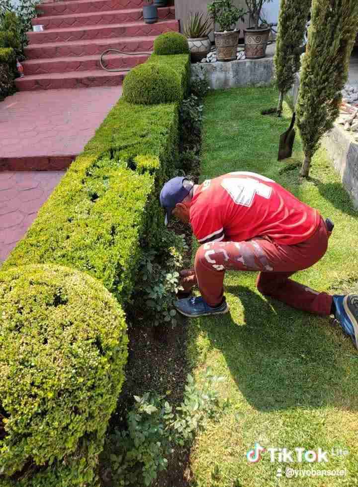 Césped en rollos para jardín instalado - miniatura 2