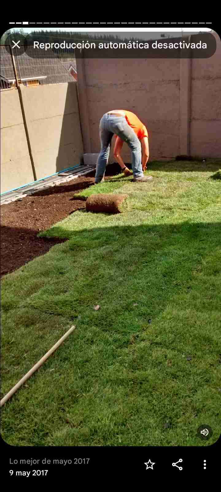 Césped en rollos para jardín instalado - miniatura 3