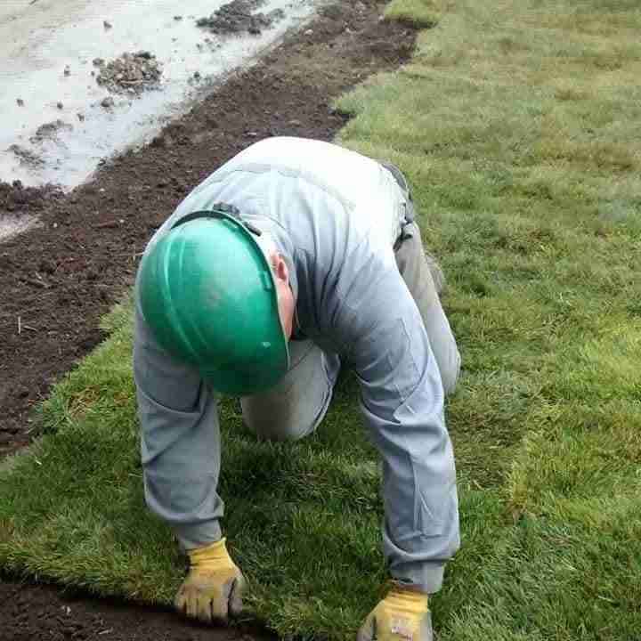 Césped en rollos para jardín instalado - miniatura 5