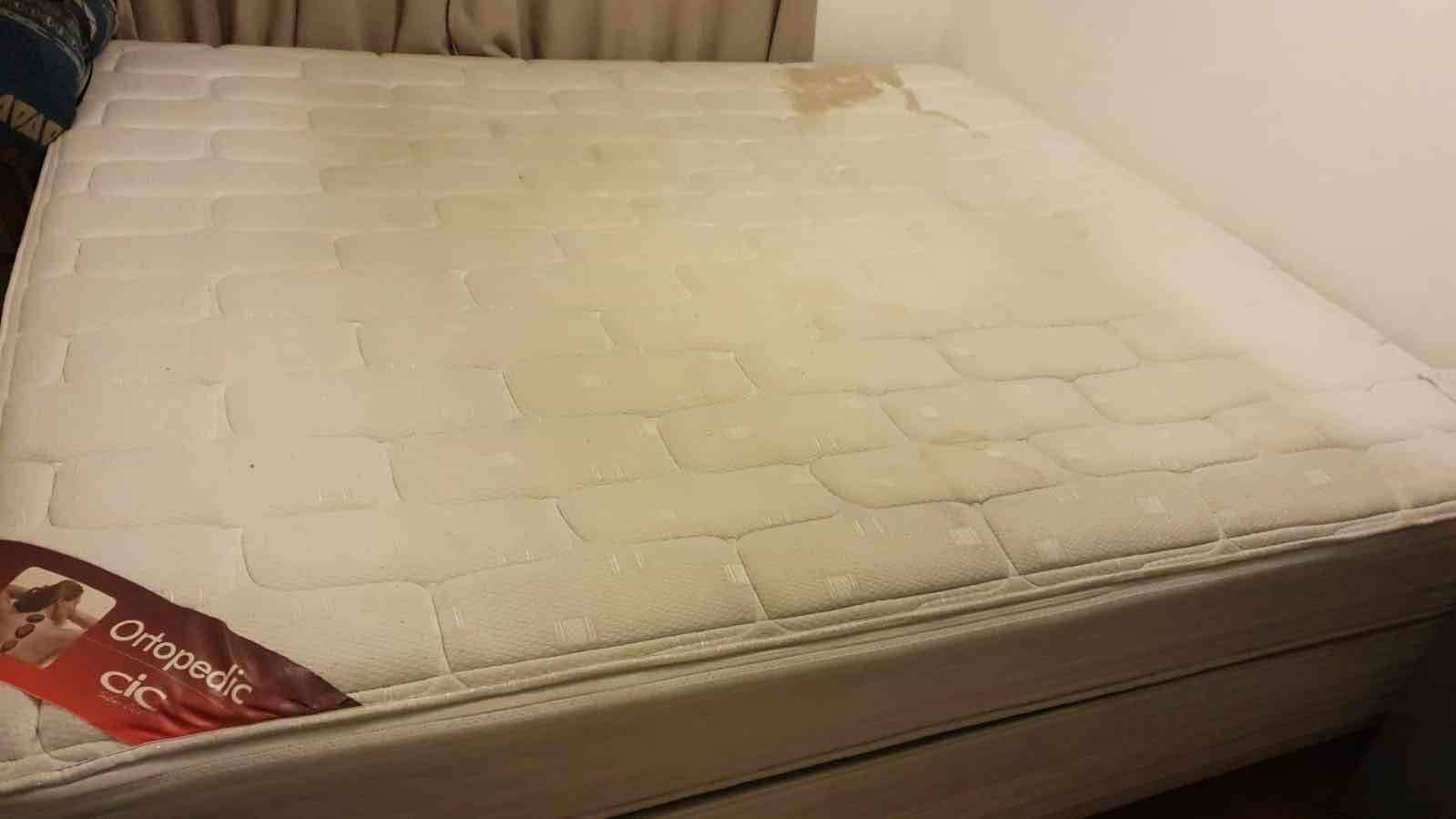 Cama Cic  Súper King - miniatura 3