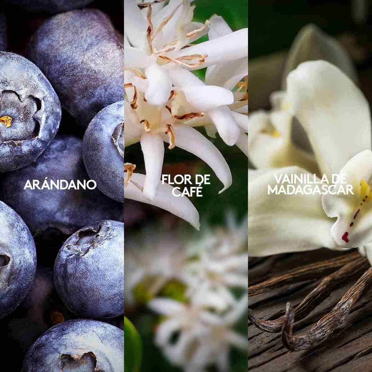 Perfume Femenino Vibranza 45ml. Ésika - miniatura 3