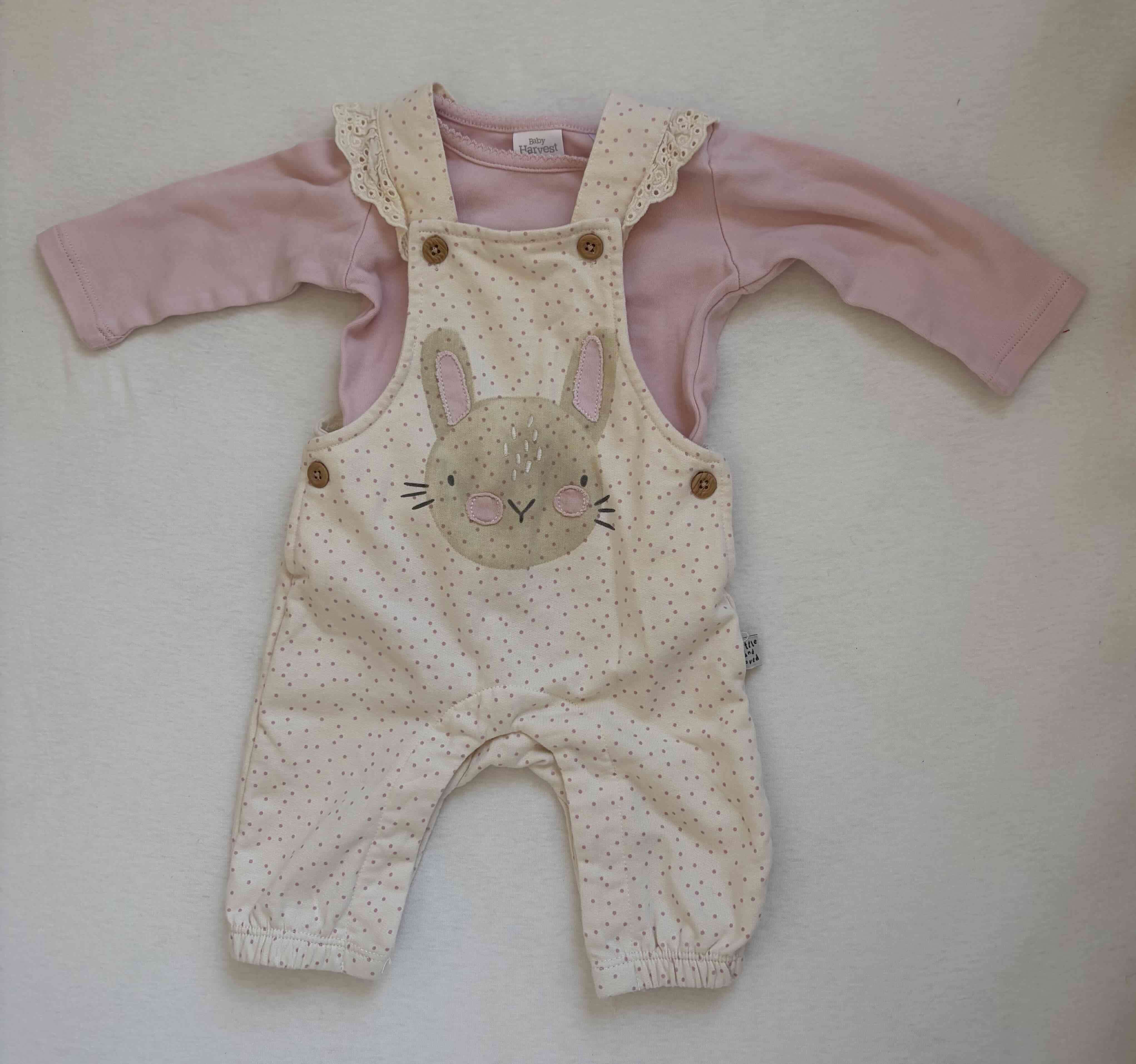 Enterito bebé conejito rosado