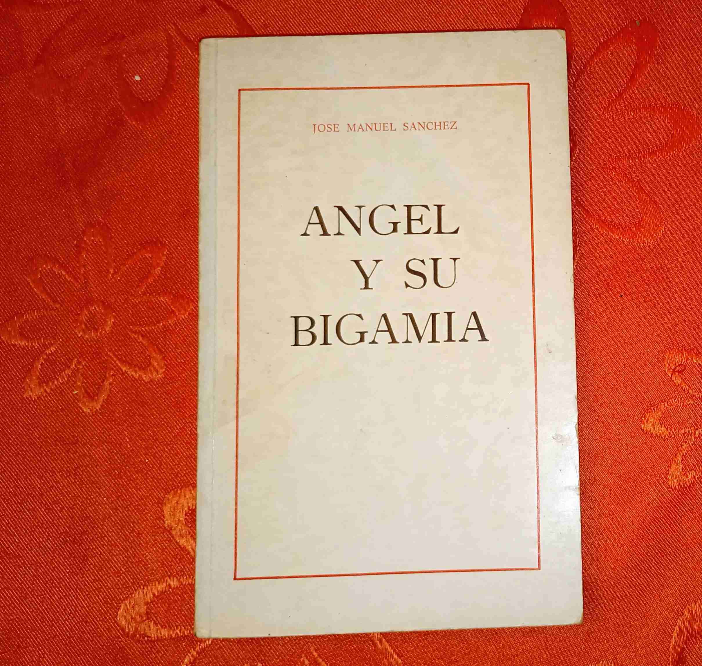 Libro 'Ángel y su Bigamia' - miniatura 1