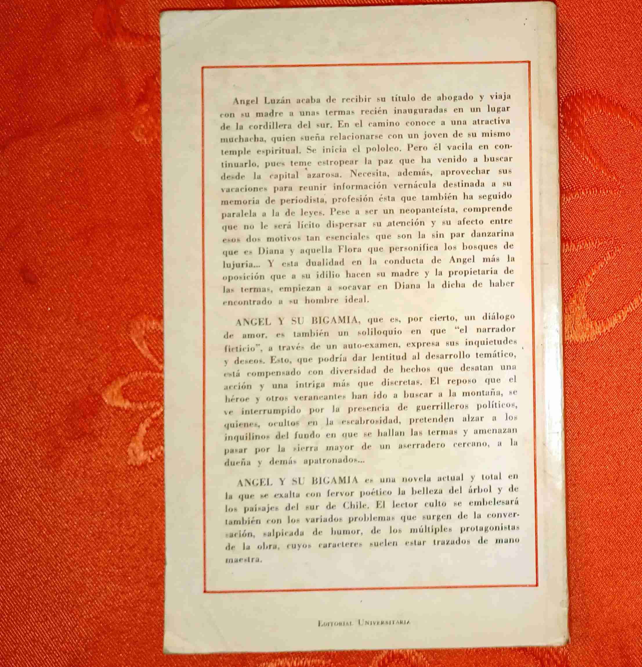 Libro 'Ángel y su Bigamia' - miniatura 2