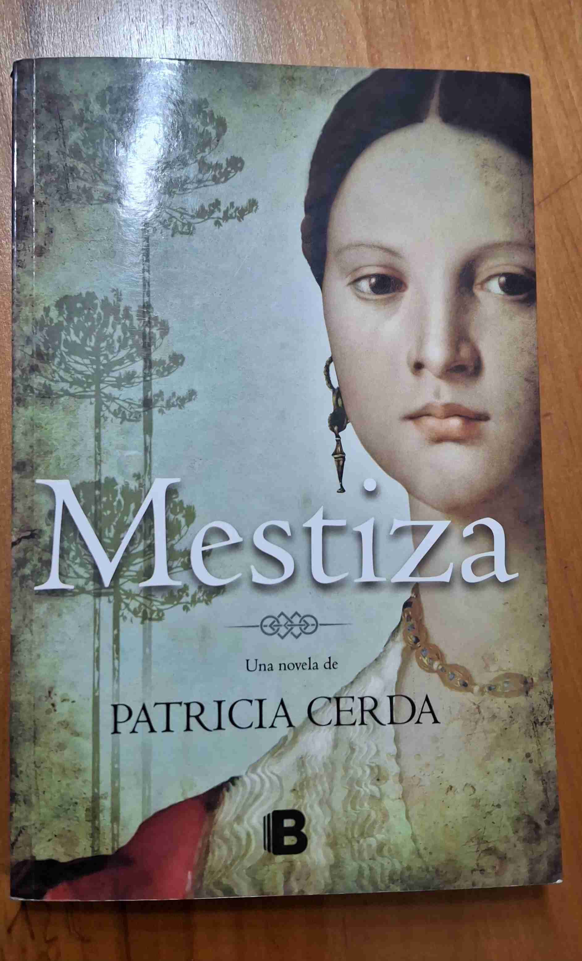Libro 'Mestiza' de Patricia Cerda