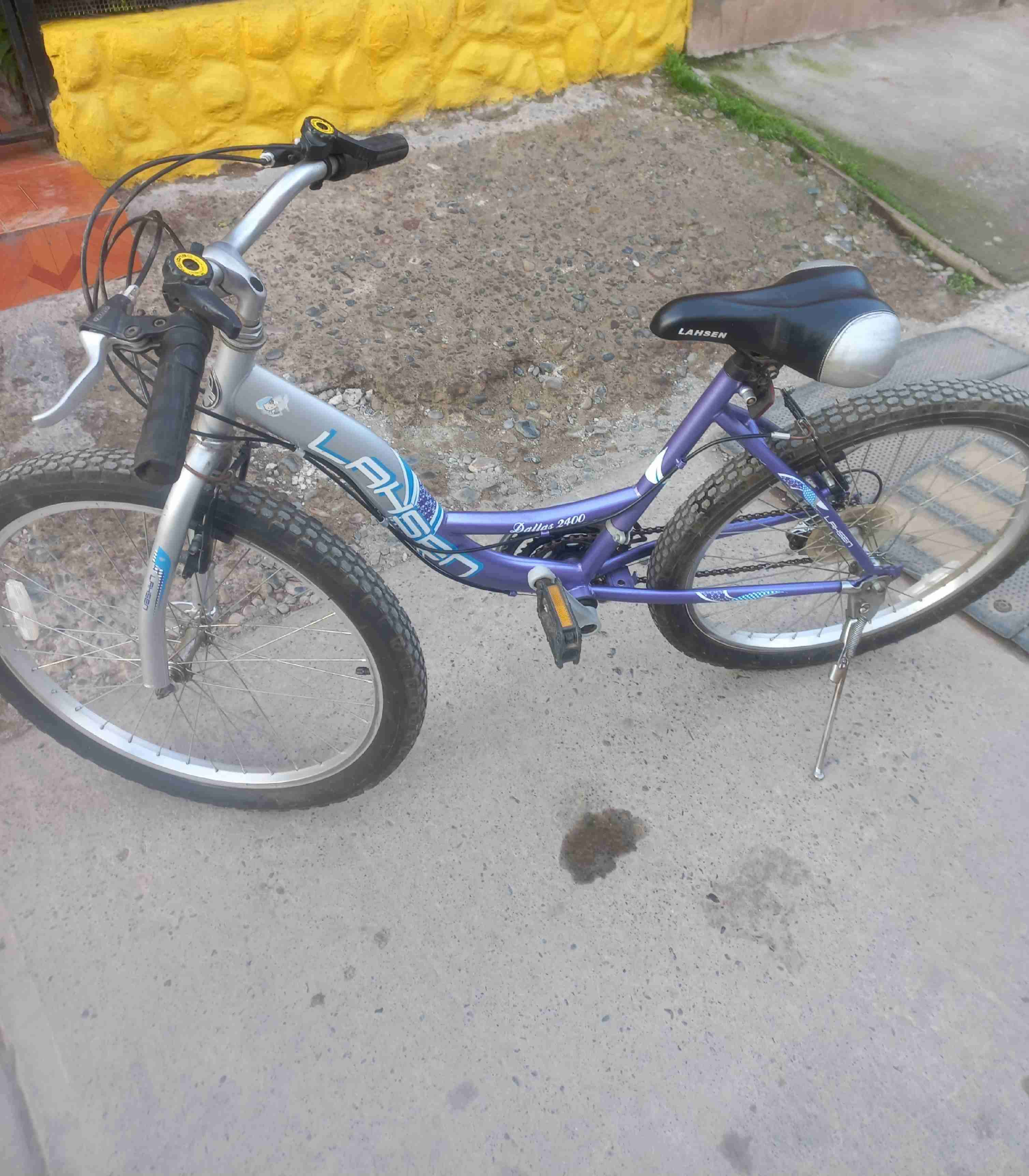 Bicicleta Larsen Purple 24 pulgadas