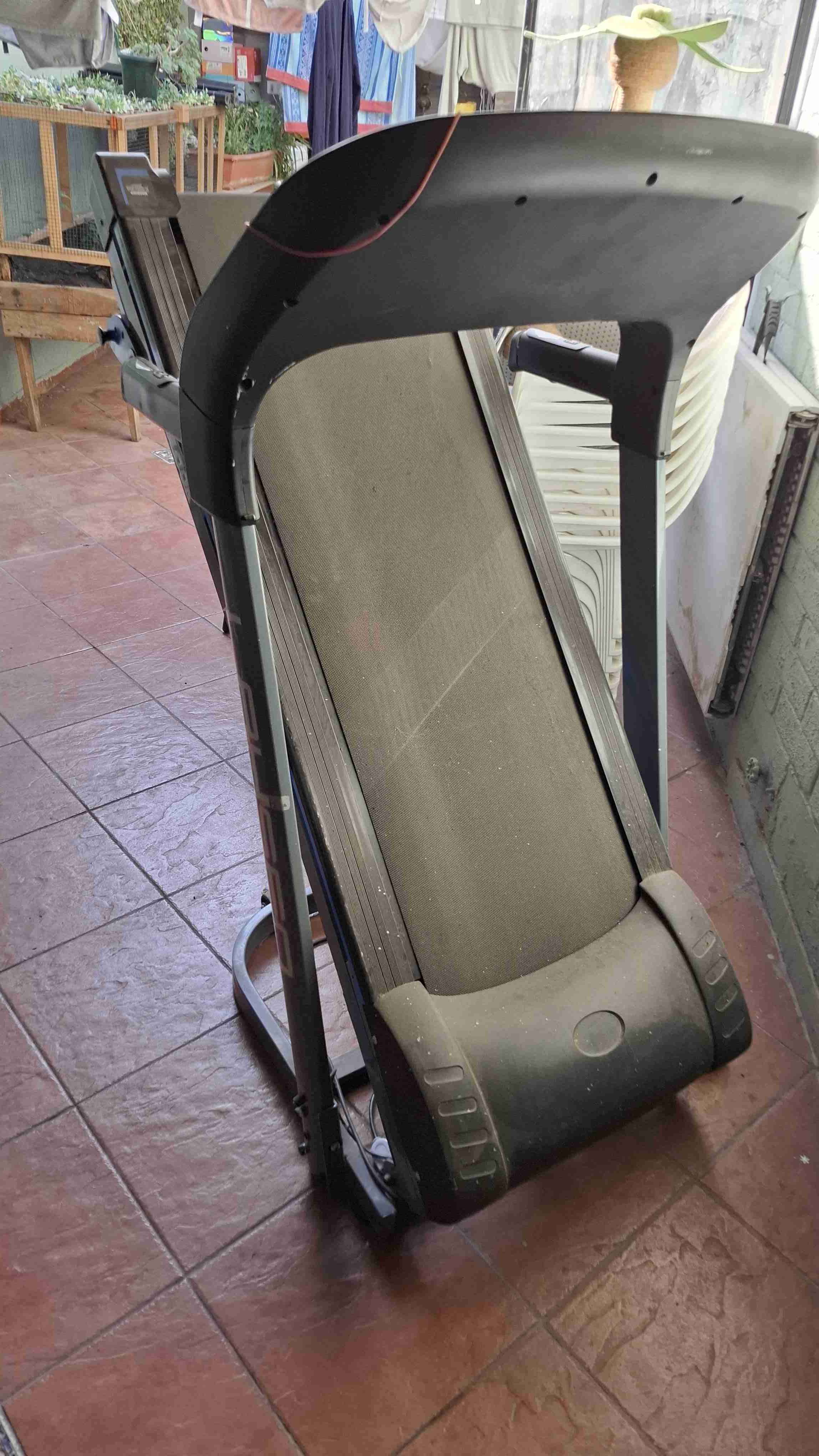 Poste rascador para gatos diseño palmera - miniatura 2