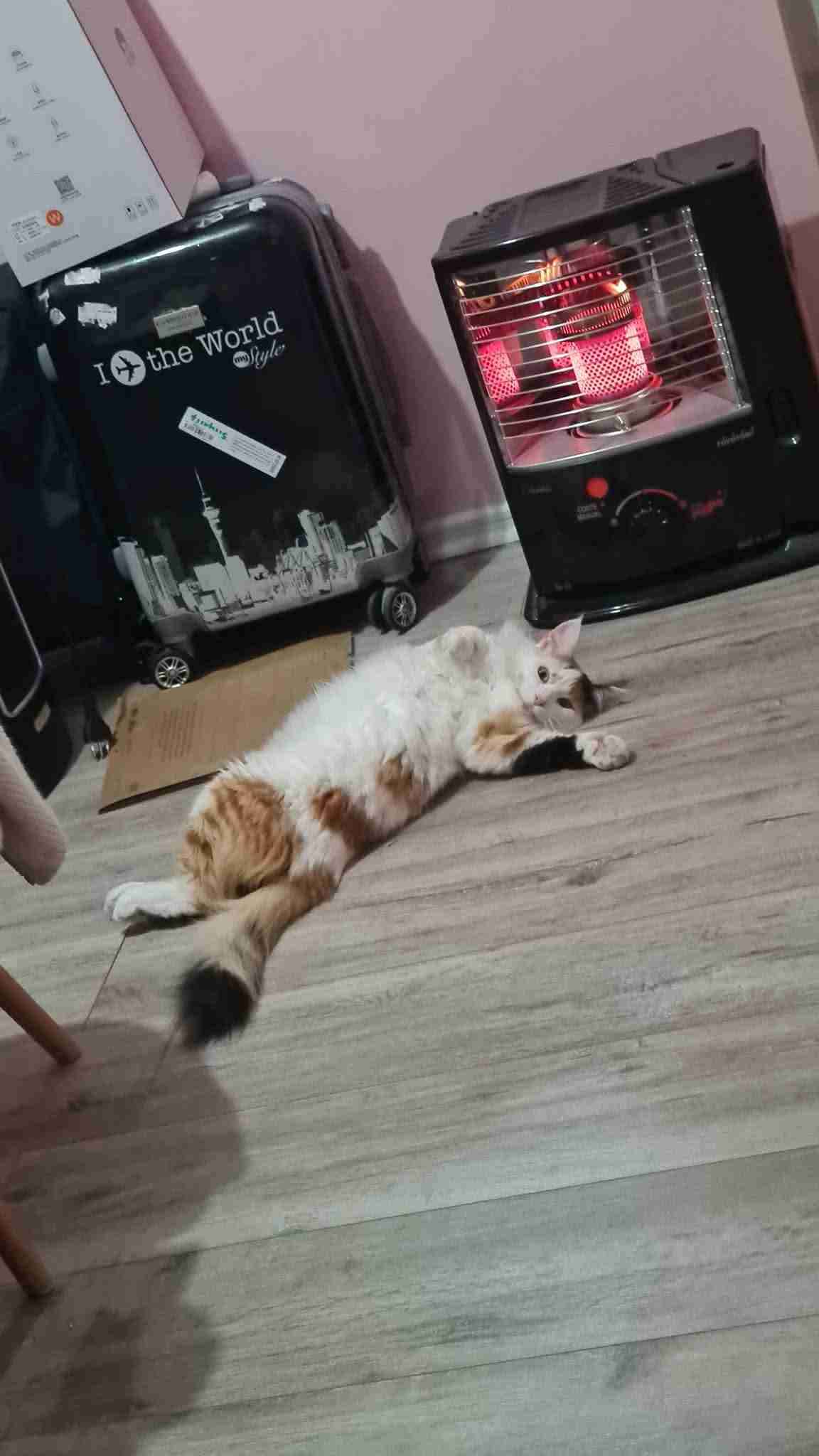 Calefactor Toyotomi Classic 2.3 kW - miniatura 2