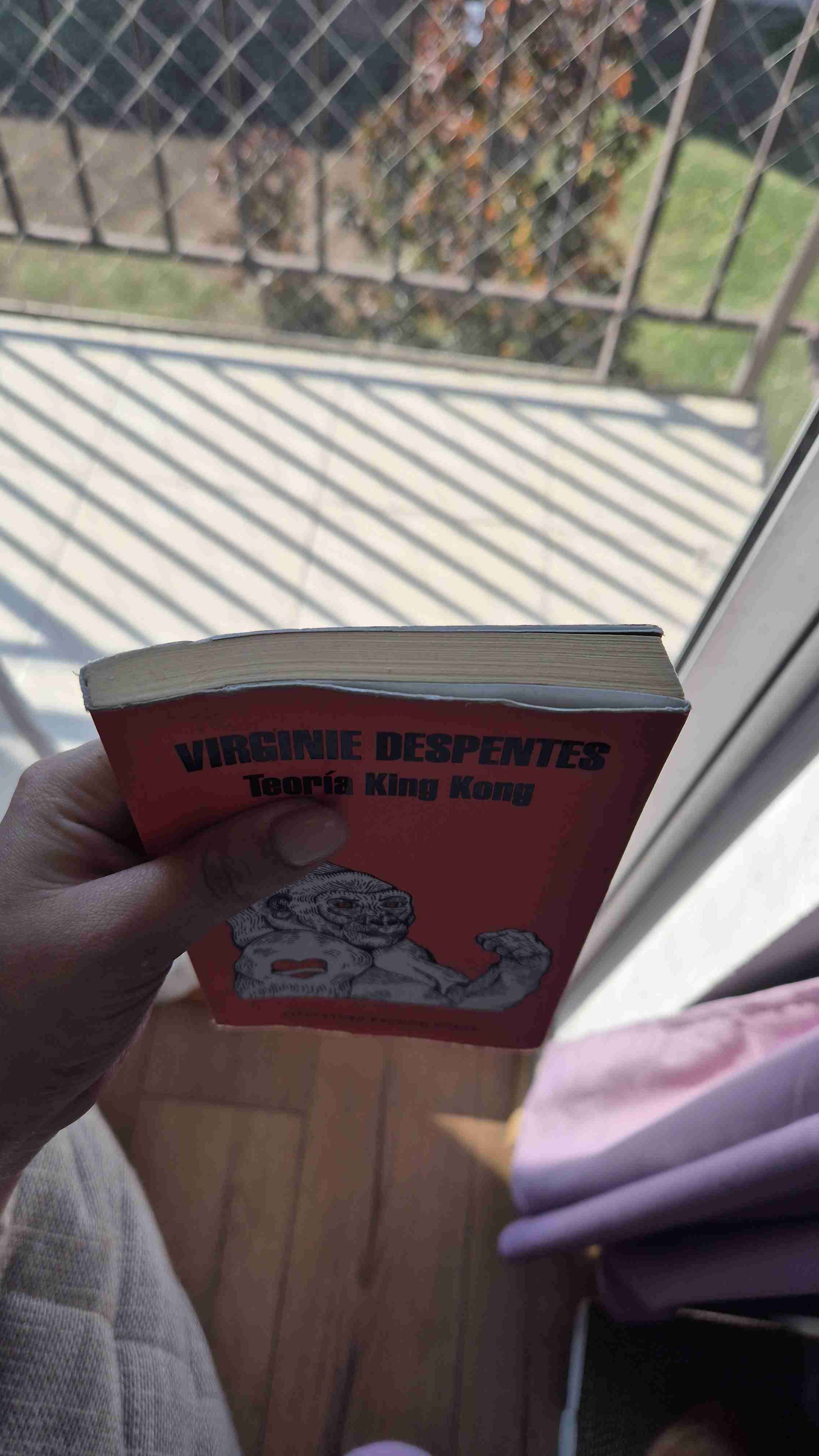 Teoría King Kong de Virginie Despentes - miniatura 2