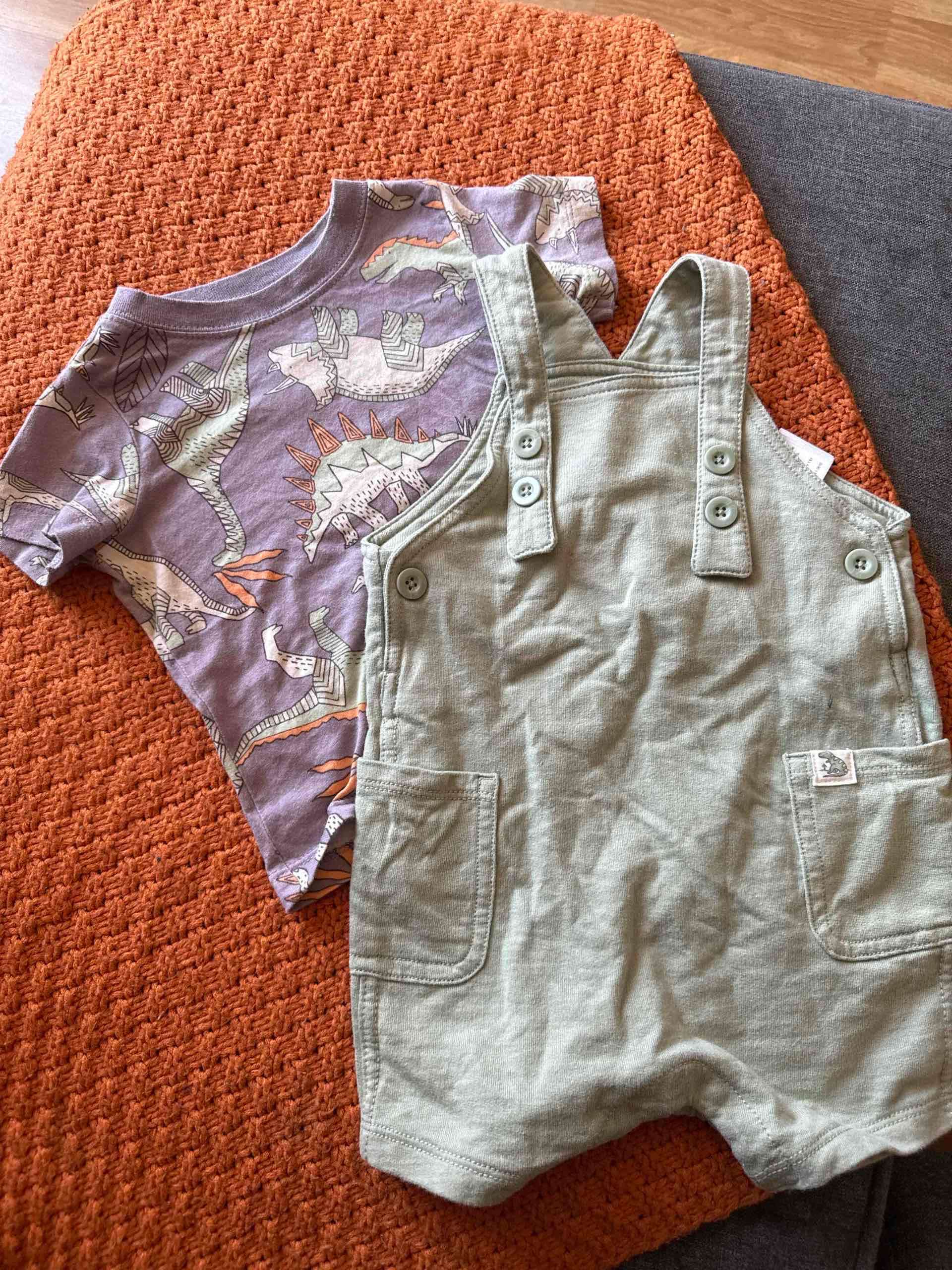 Conjunto niño dinosaurios y jardinera - miniatura 1