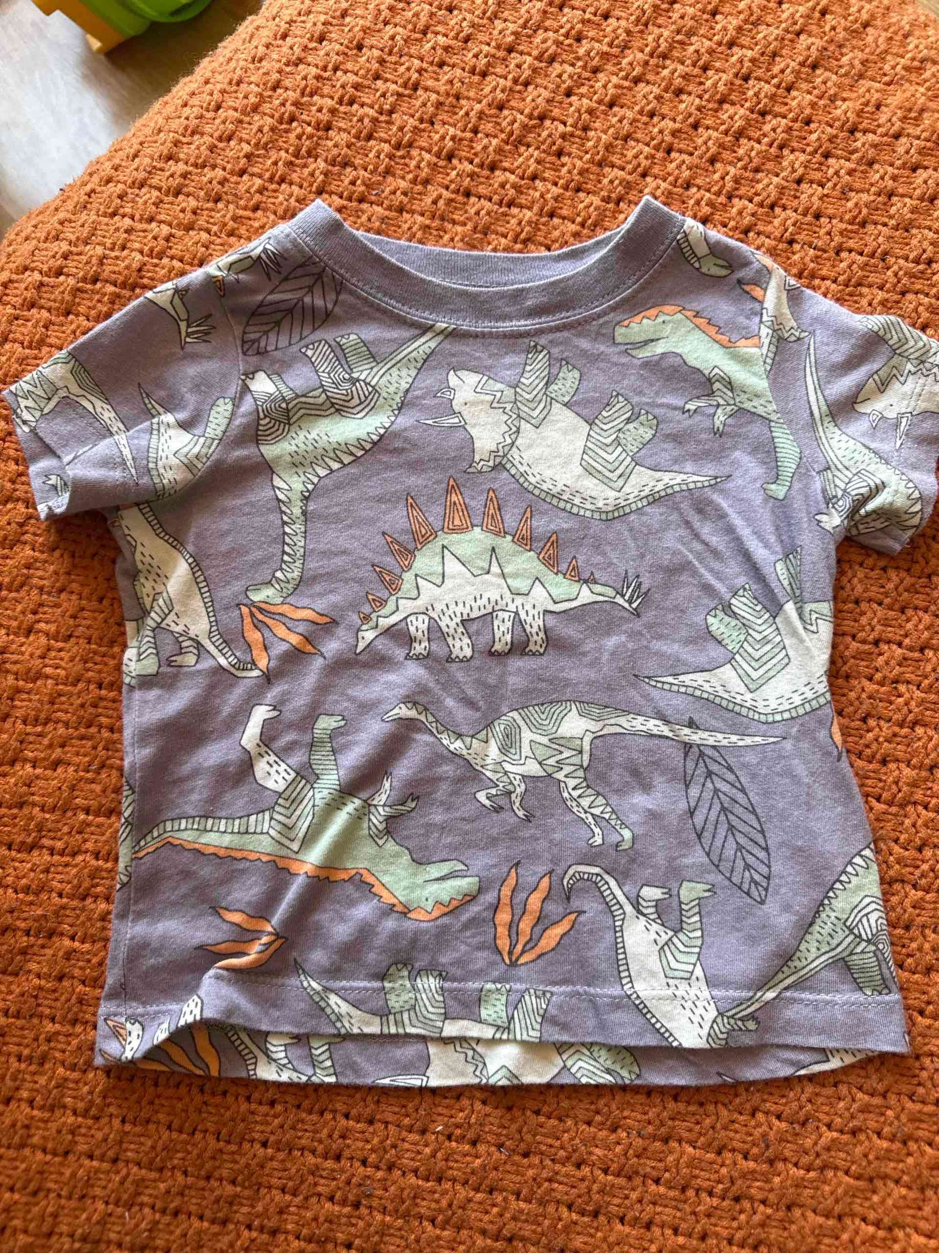 Conjunto niño dinosaurios y jardinera - miniatura 2