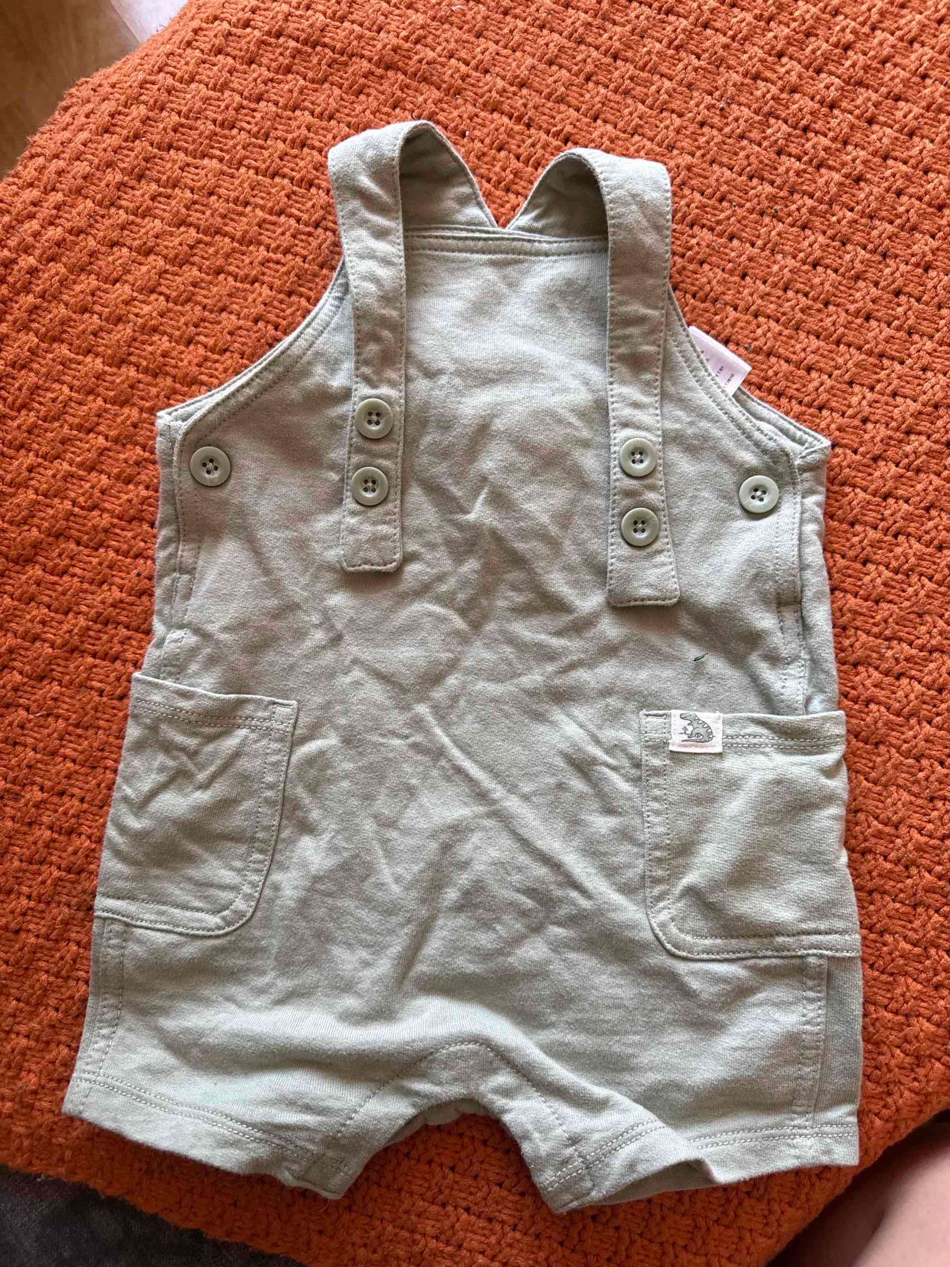 Conjunto niño dinosaurios y jardinera - miniatura 3