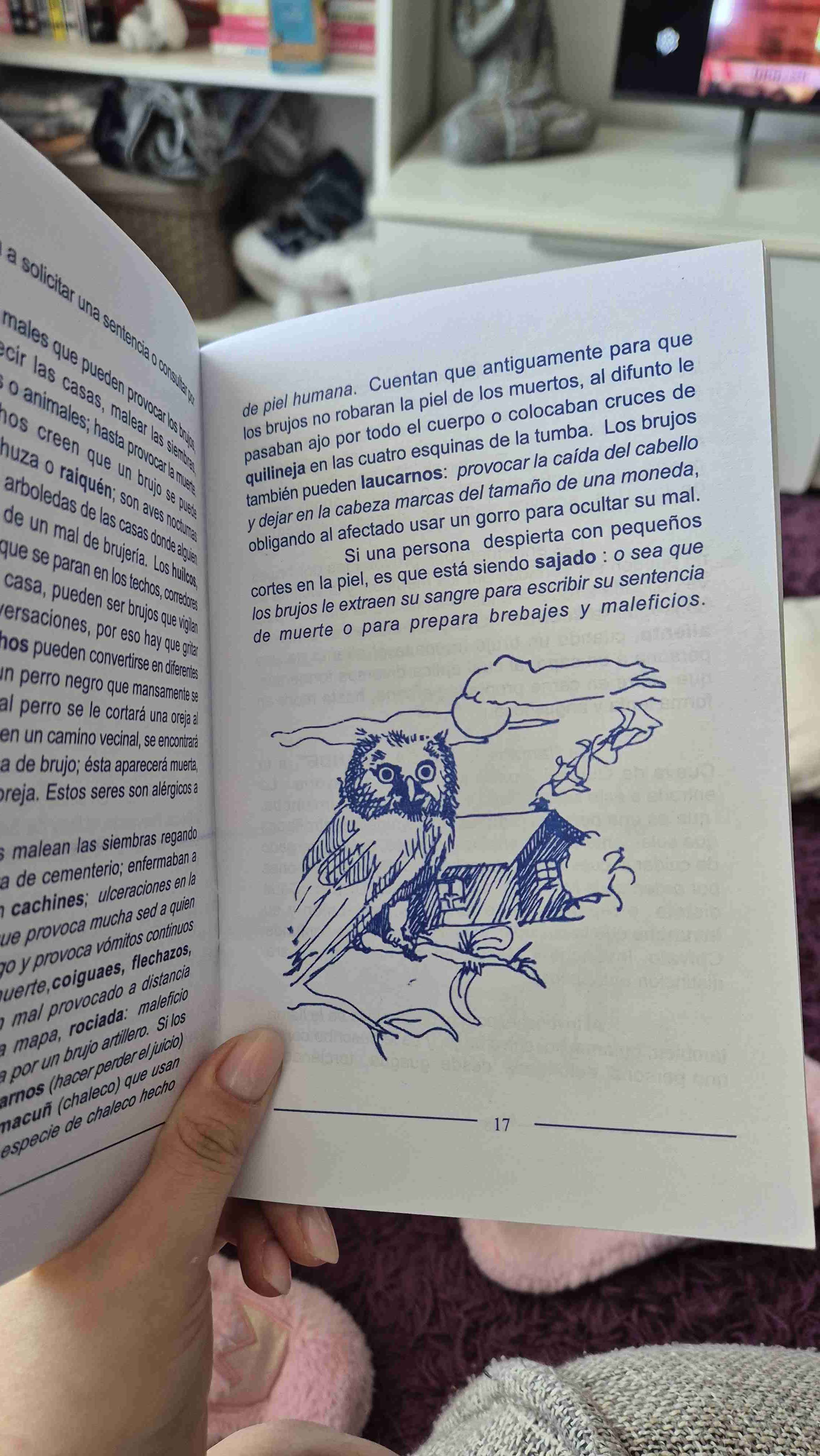 Libro Chiloé brujos entierros y piratas - miniatura 3