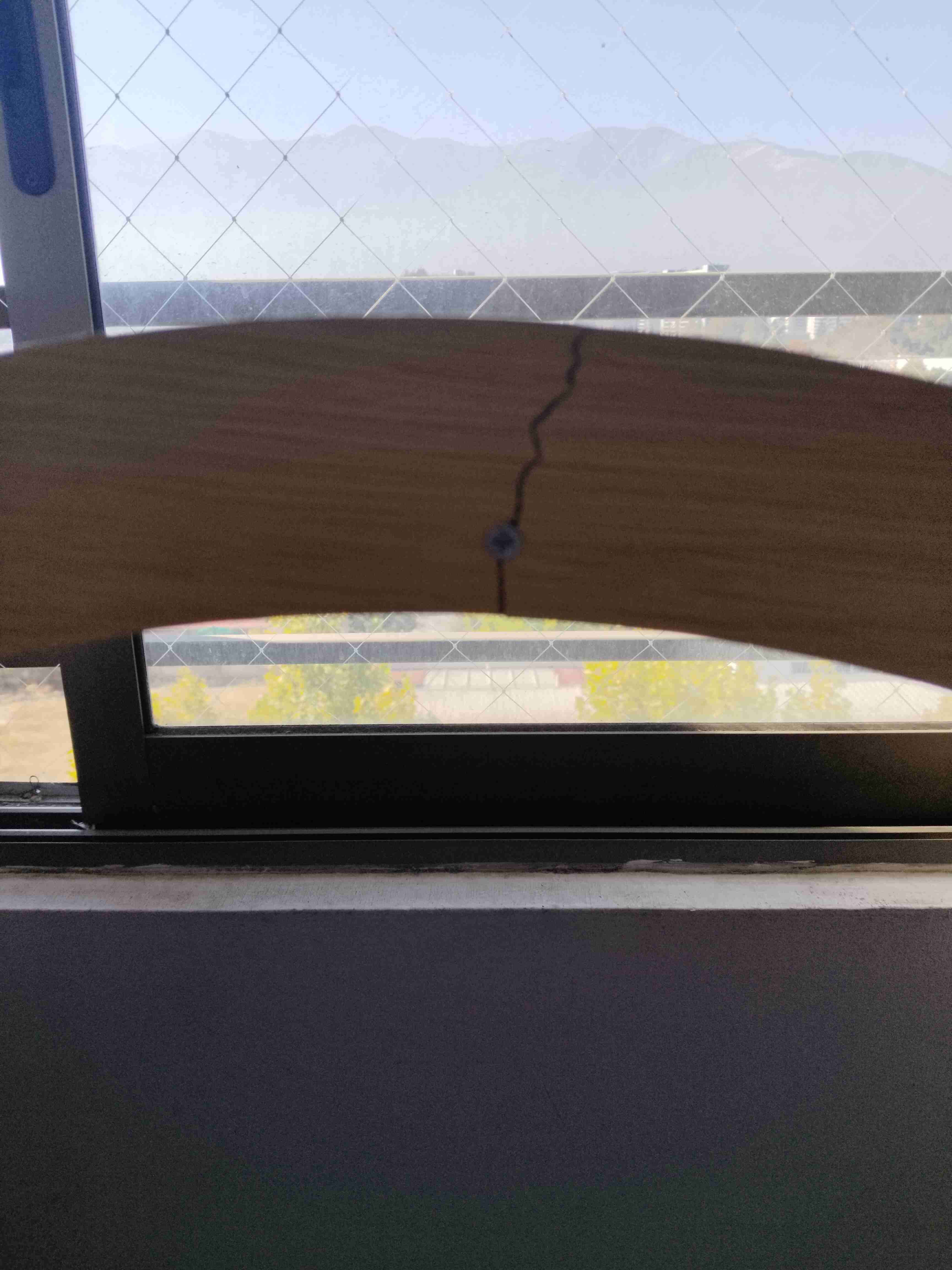 Ruleta para gatos de madera - miniatura 2