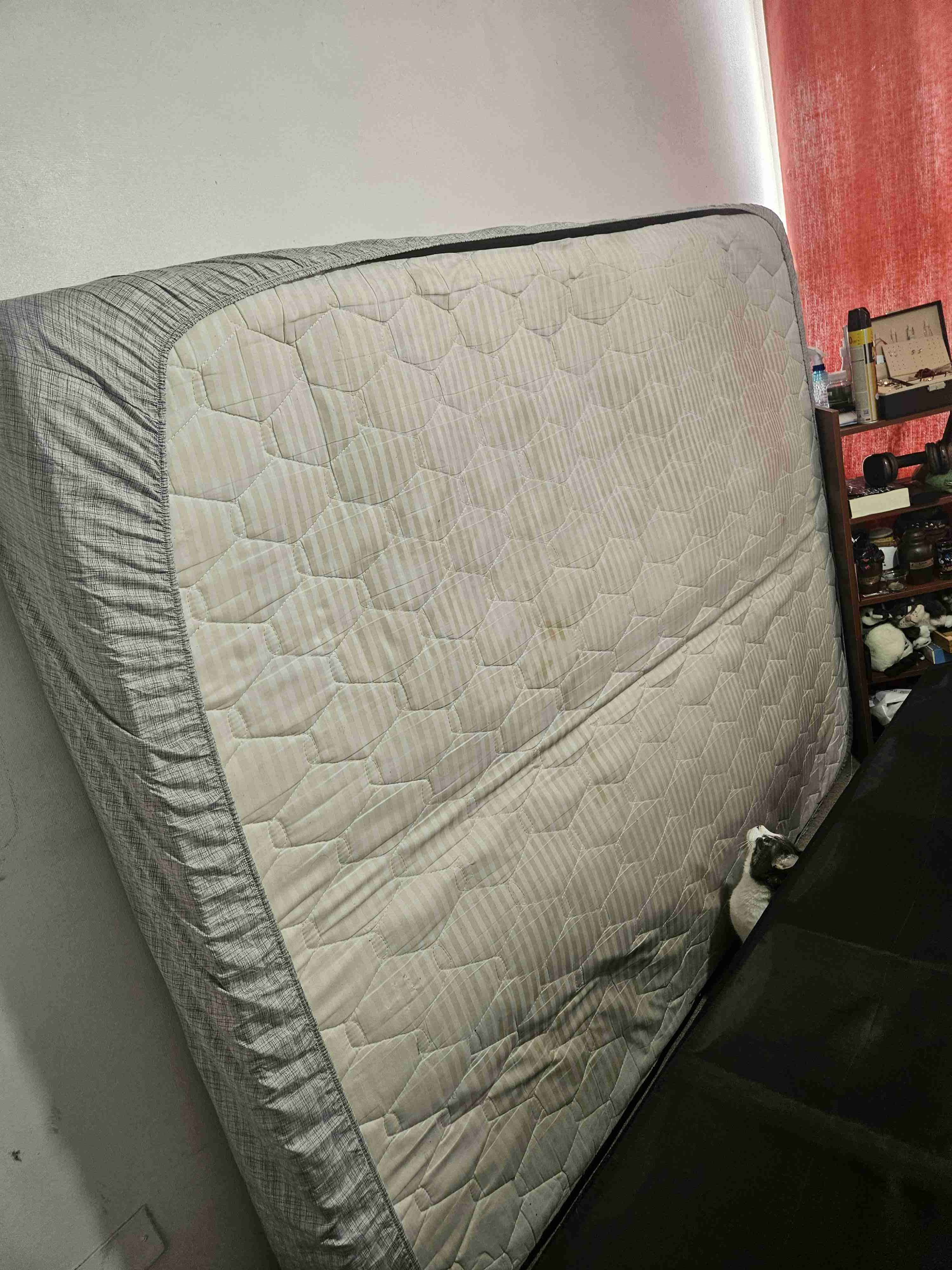 Estructura de cama plegable - miniatura 3