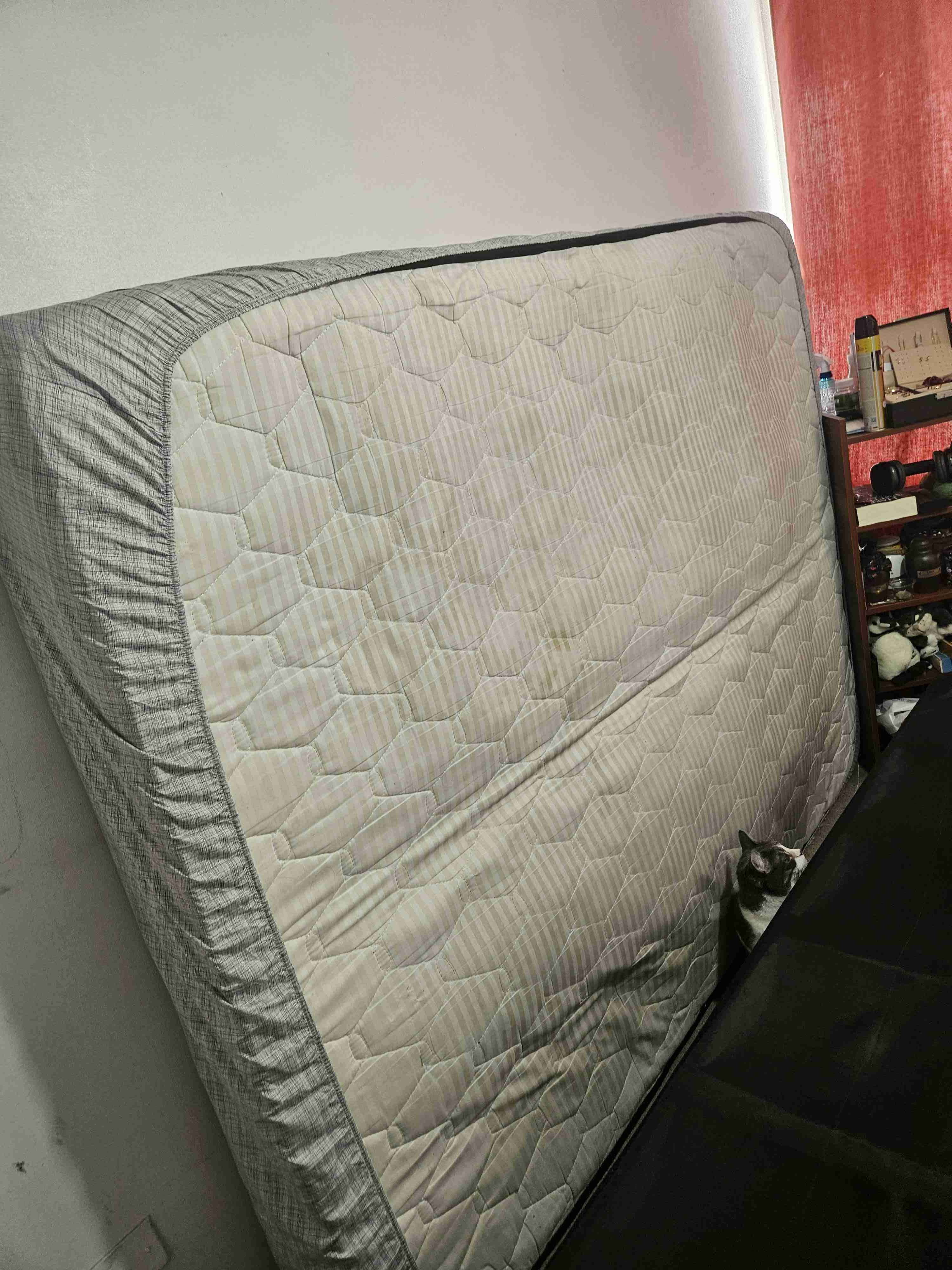 Estructura de cama plegable - miniatura 4