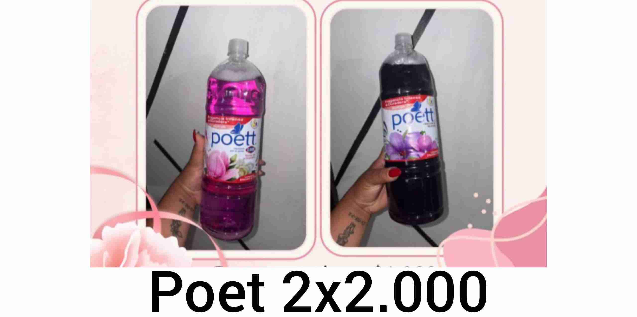 Limpiador desinfectante Poett 2 x 2L