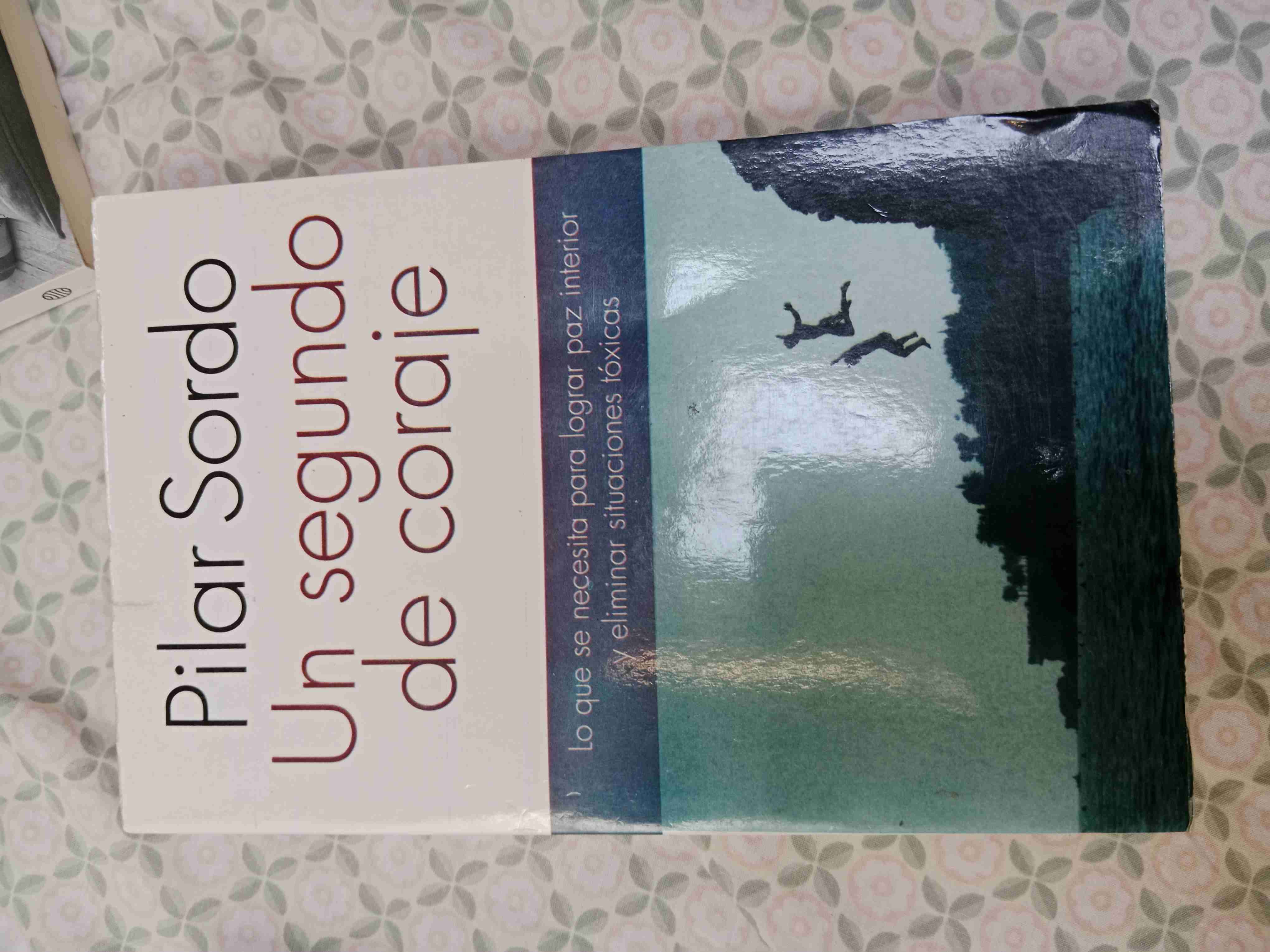 Libro 'Un segundo de coraje' de Pilar Sordo