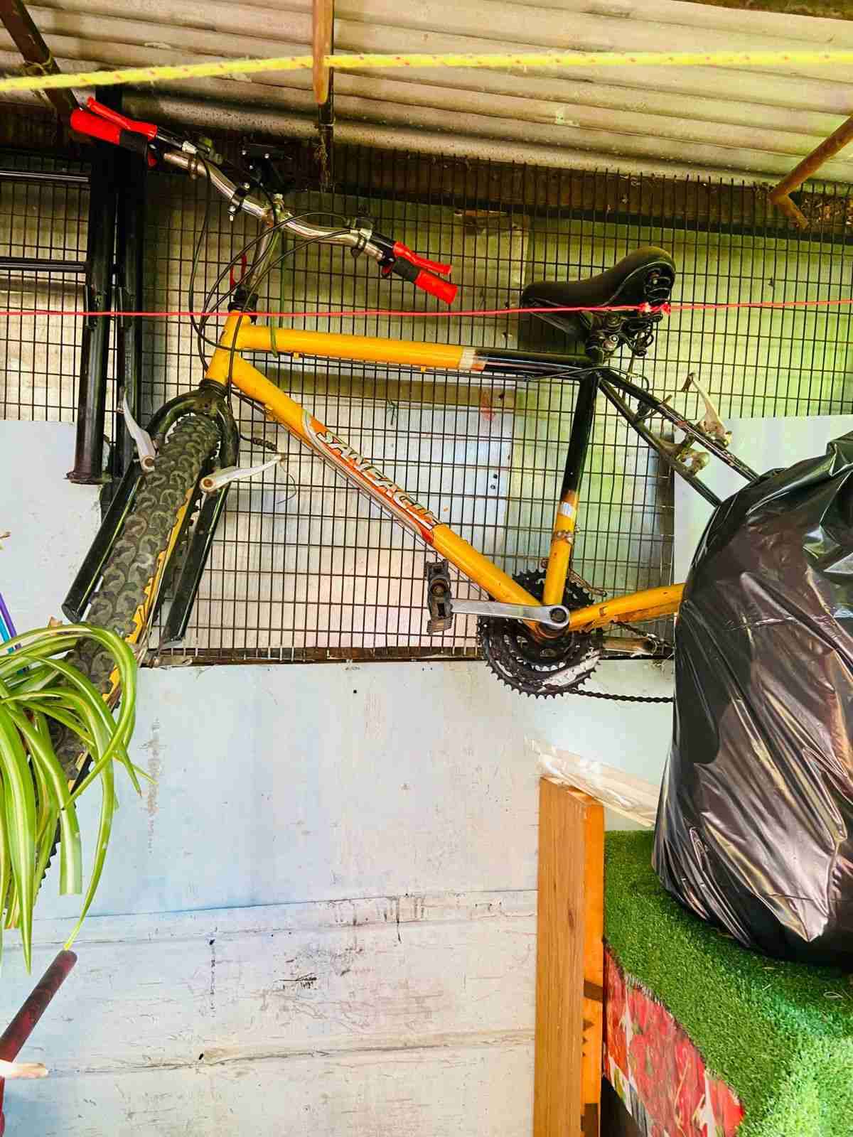 Bicicleta montaña amarilla Savage