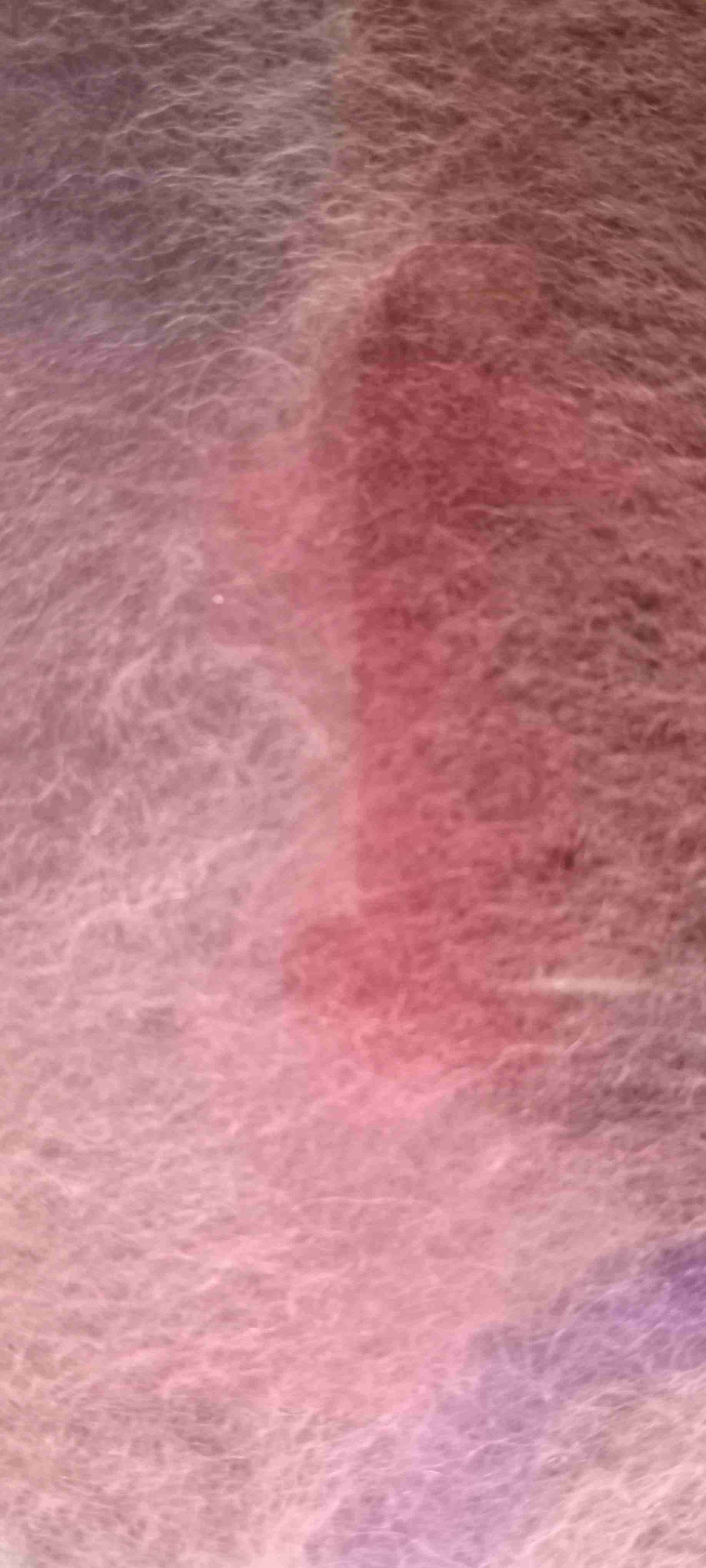 Cuadro fibra de lana - miniatura 2