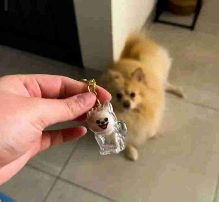 Mascotas llavero memorial para guardar pelito - miniatura 6