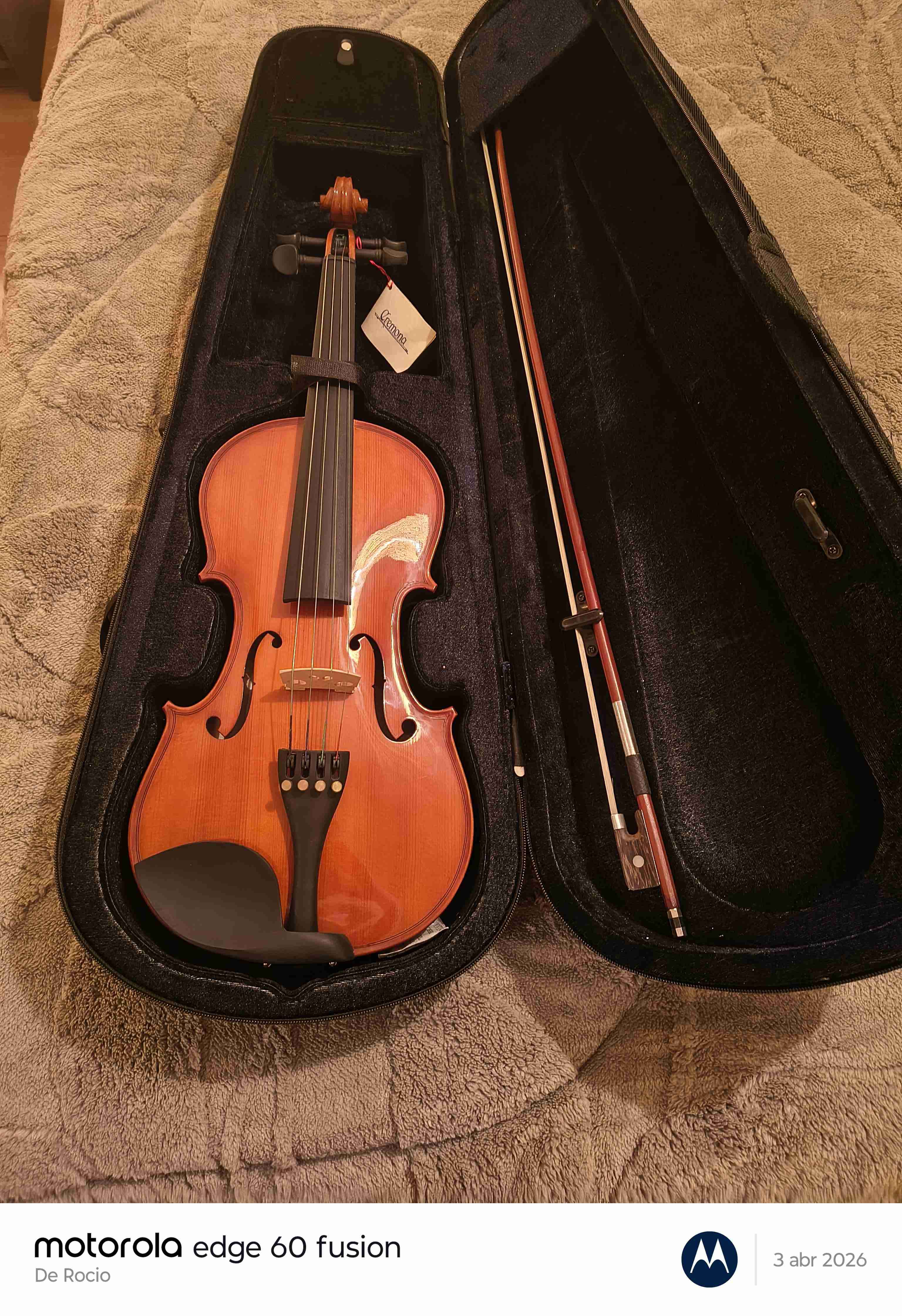 Viola de tamaño completo con estuche - miniatura 3