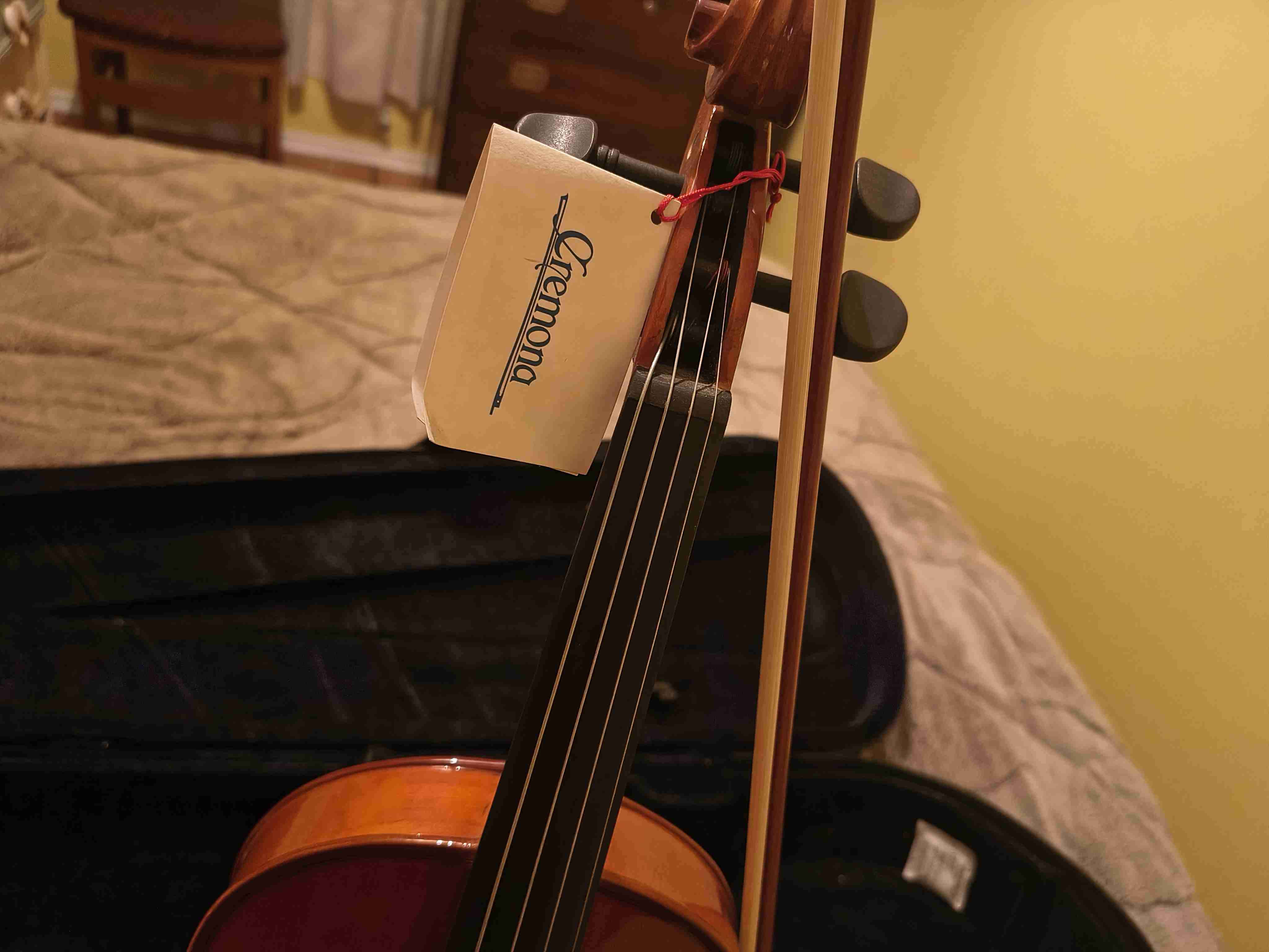 Viola de tamaño completo con estuche - miniatura 6