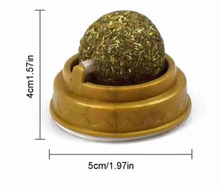 Mascotas hierba gatera - miniatura 2