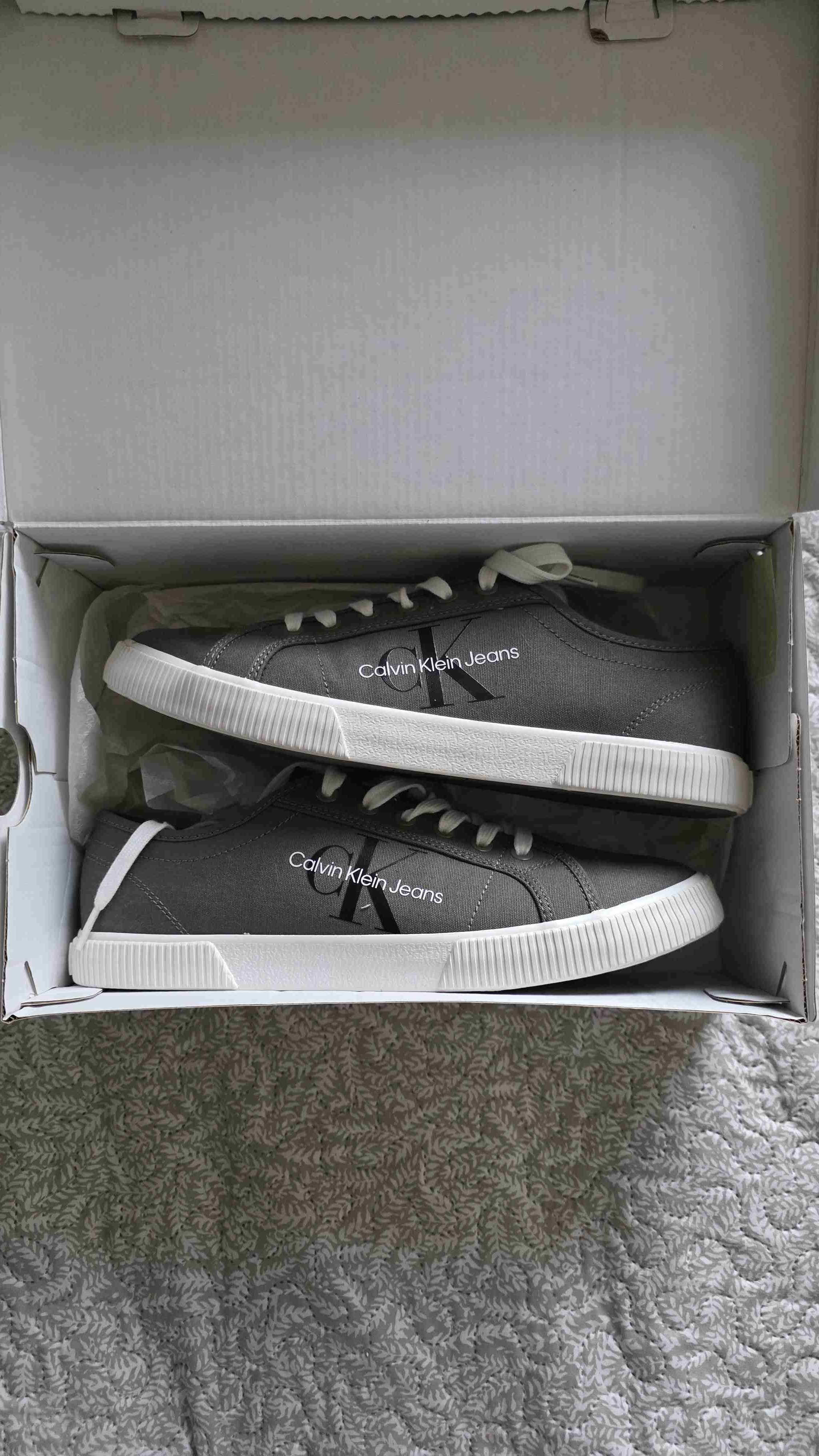 Zapatillas Calvin Klein grises - miniatura 1